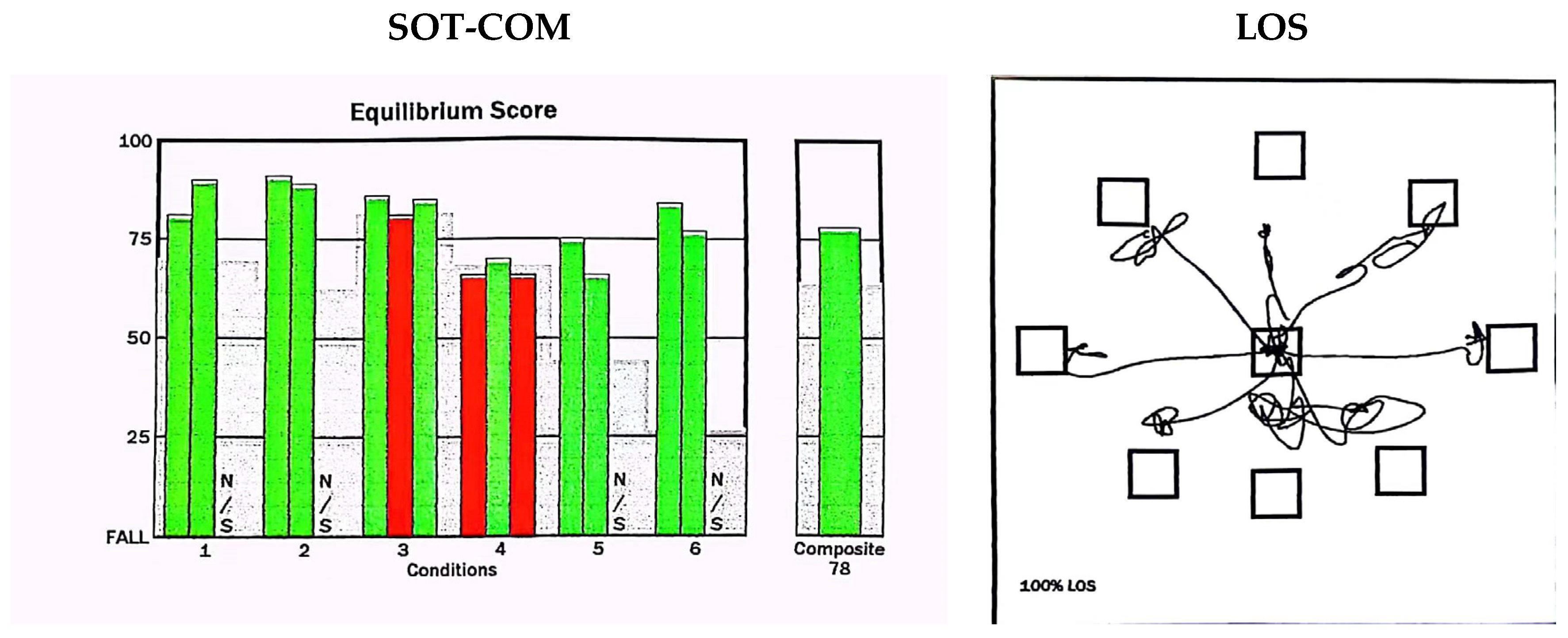Geriatrics 08 00103 g001