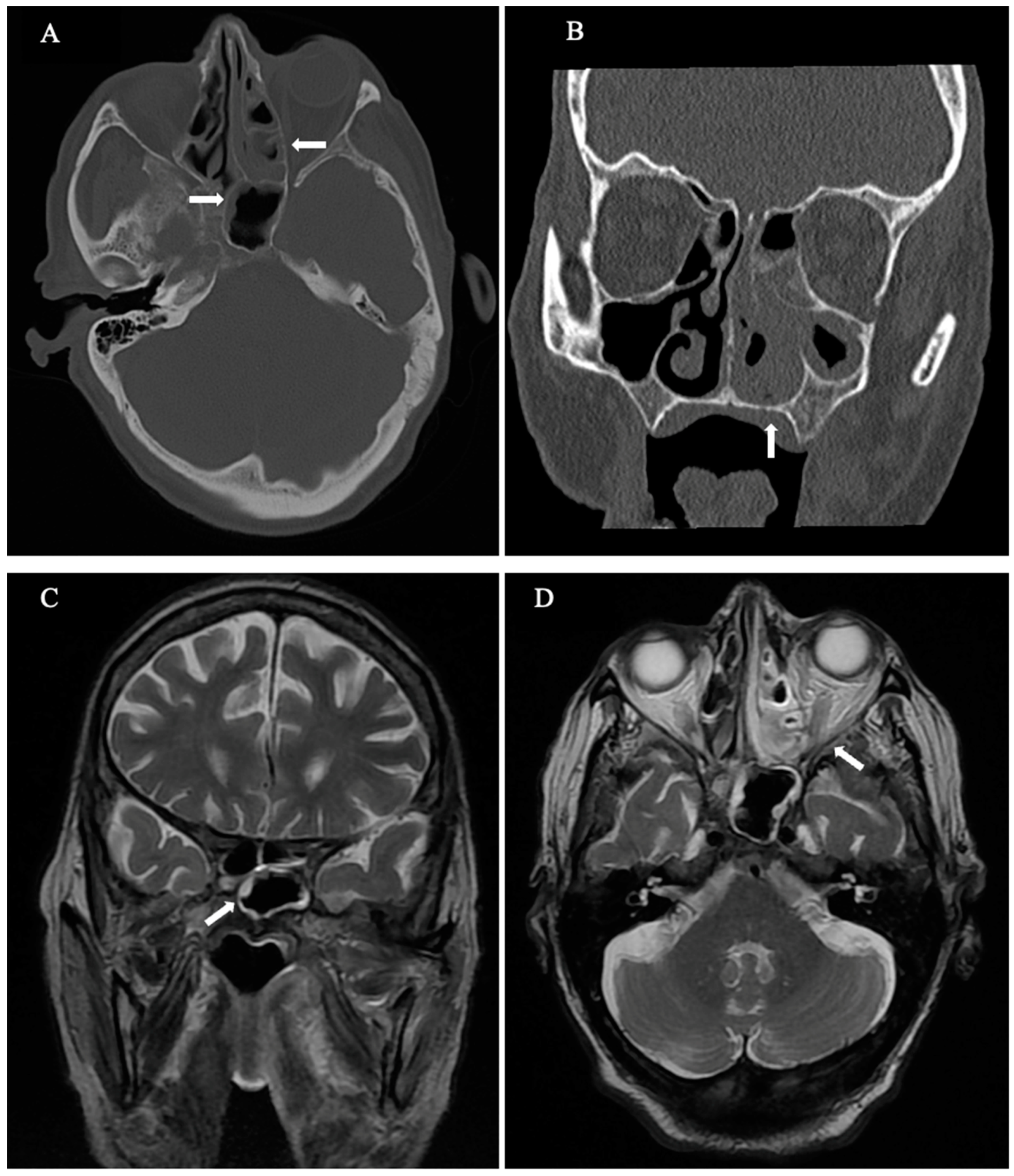 Geriatrics 09 00004 g002