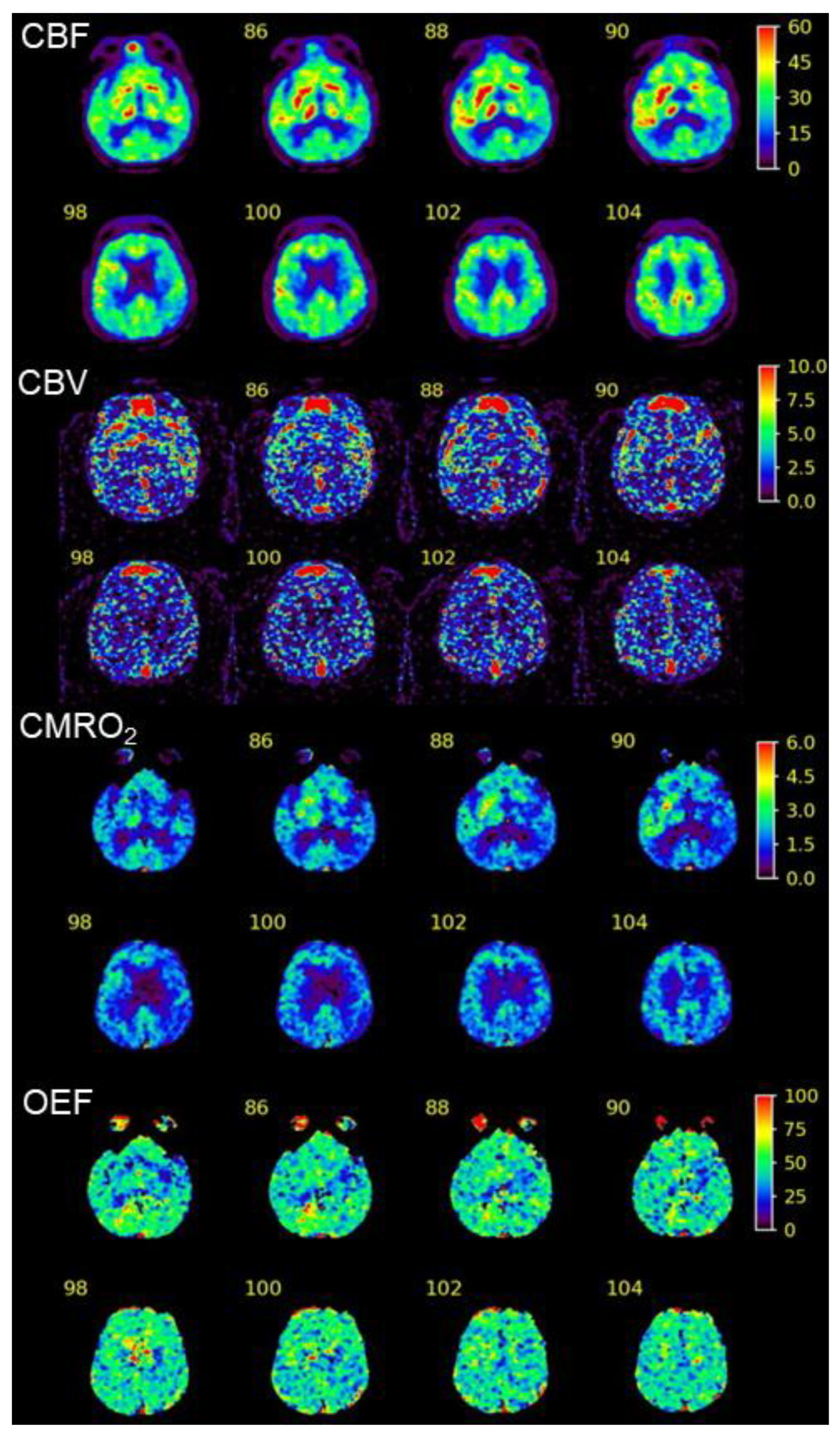 Geriatrics 09 00030 g005 Geriatrics 09 00030 g005