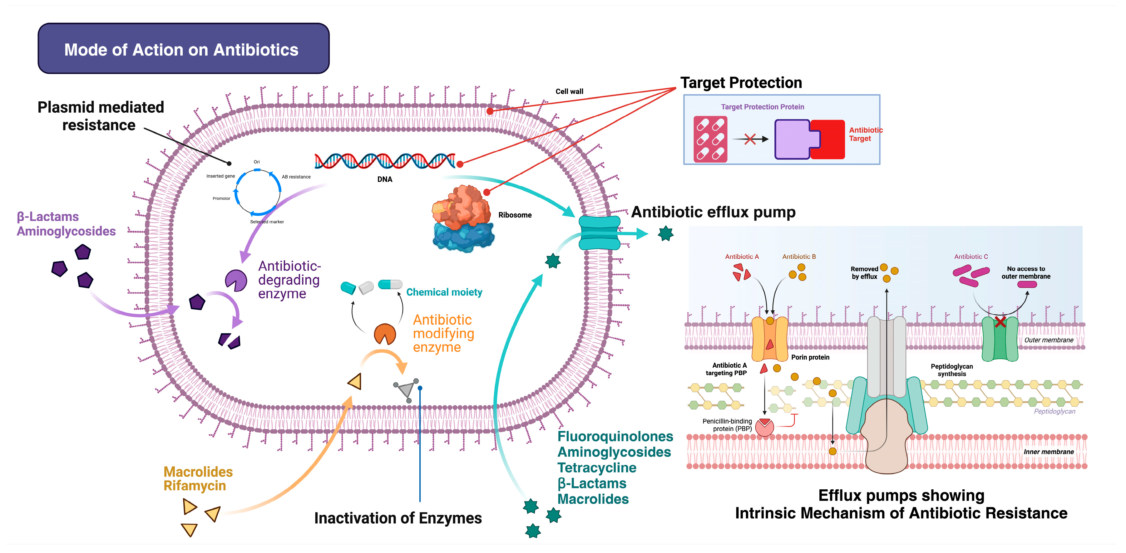 Geriatrics 09 00045 g003