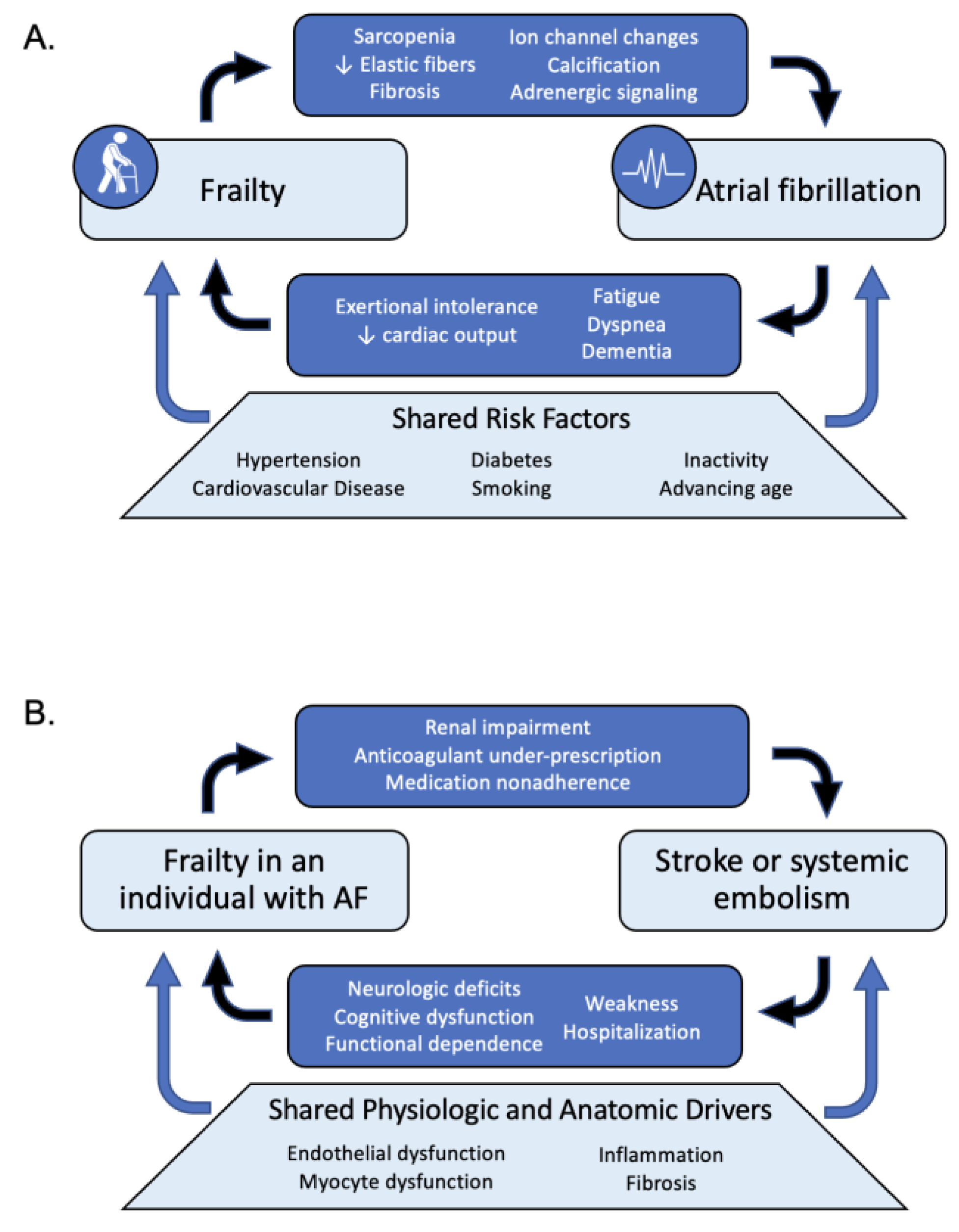 Geriatrics 09 00050 g001