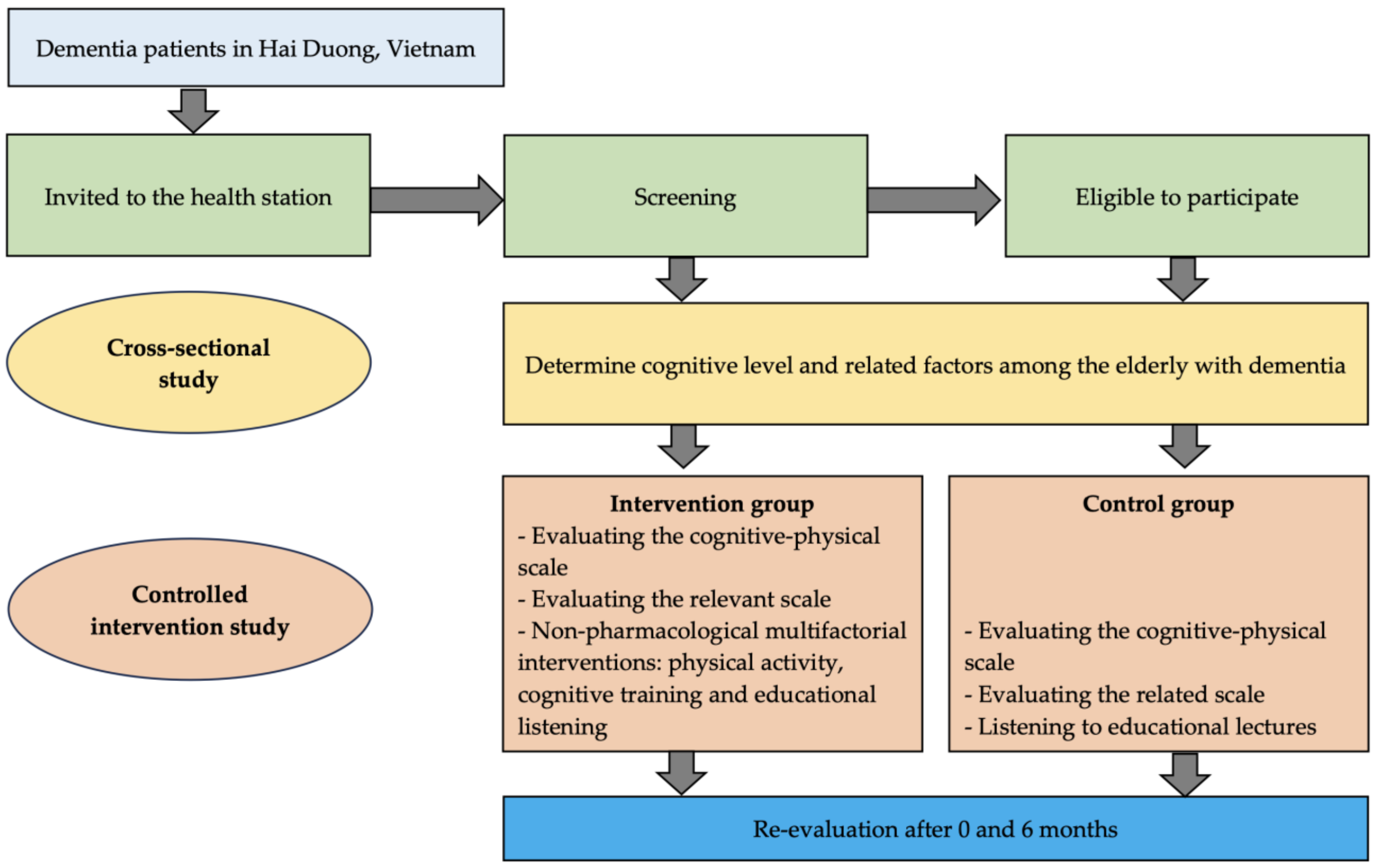 Geriatrics 09 00052 g001