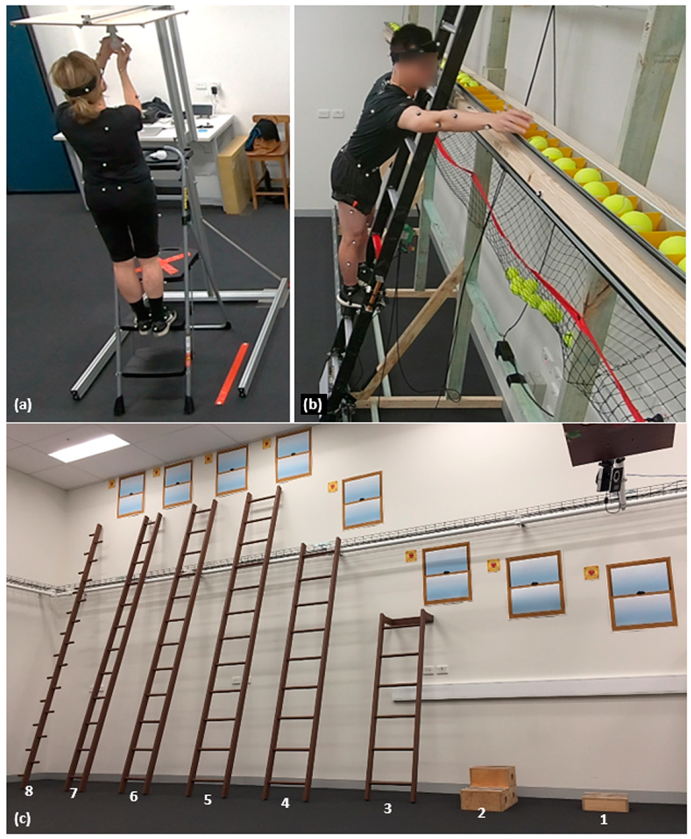 Geriatrics 09 00061 g001