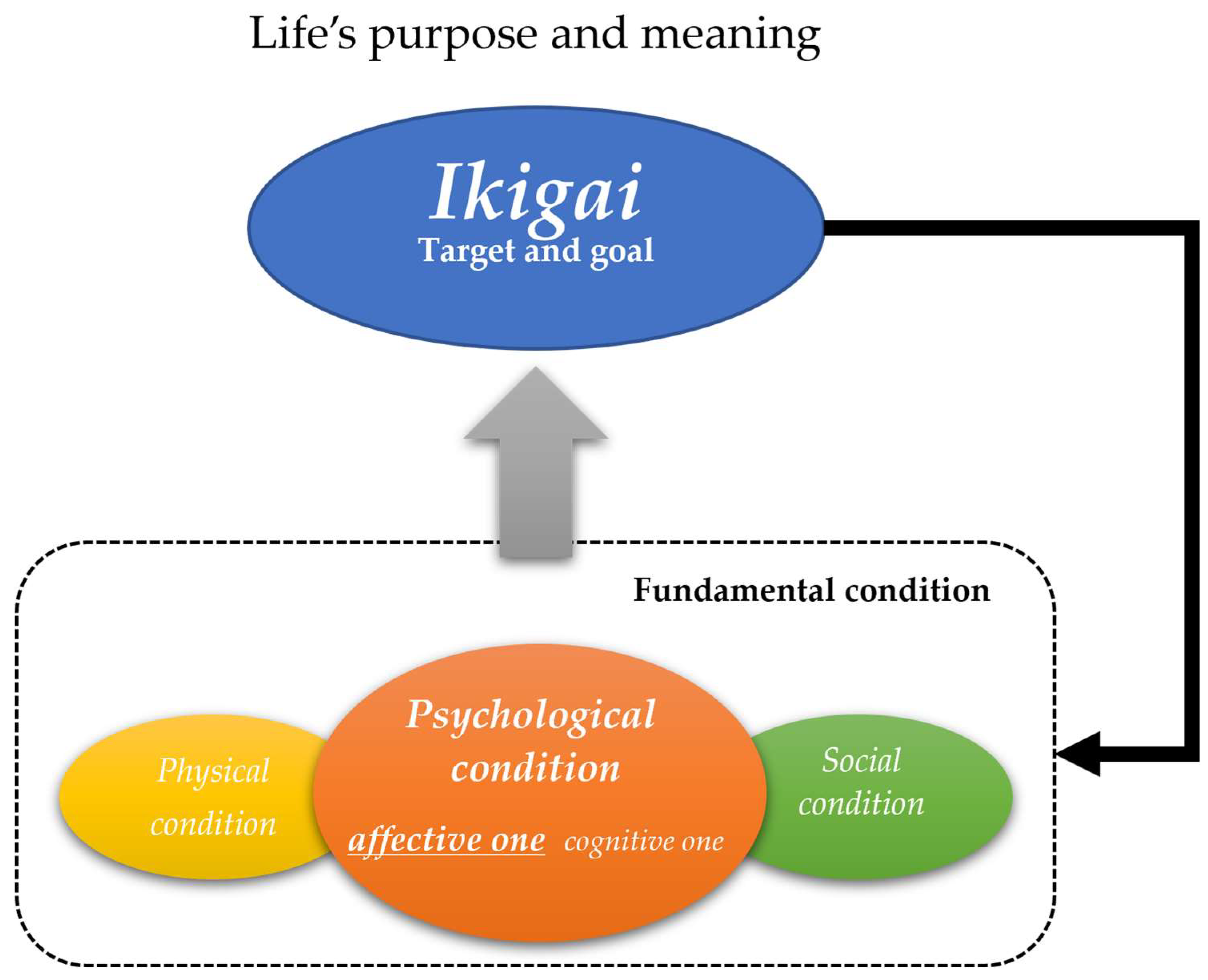 Geriatrics 09 00078 g002