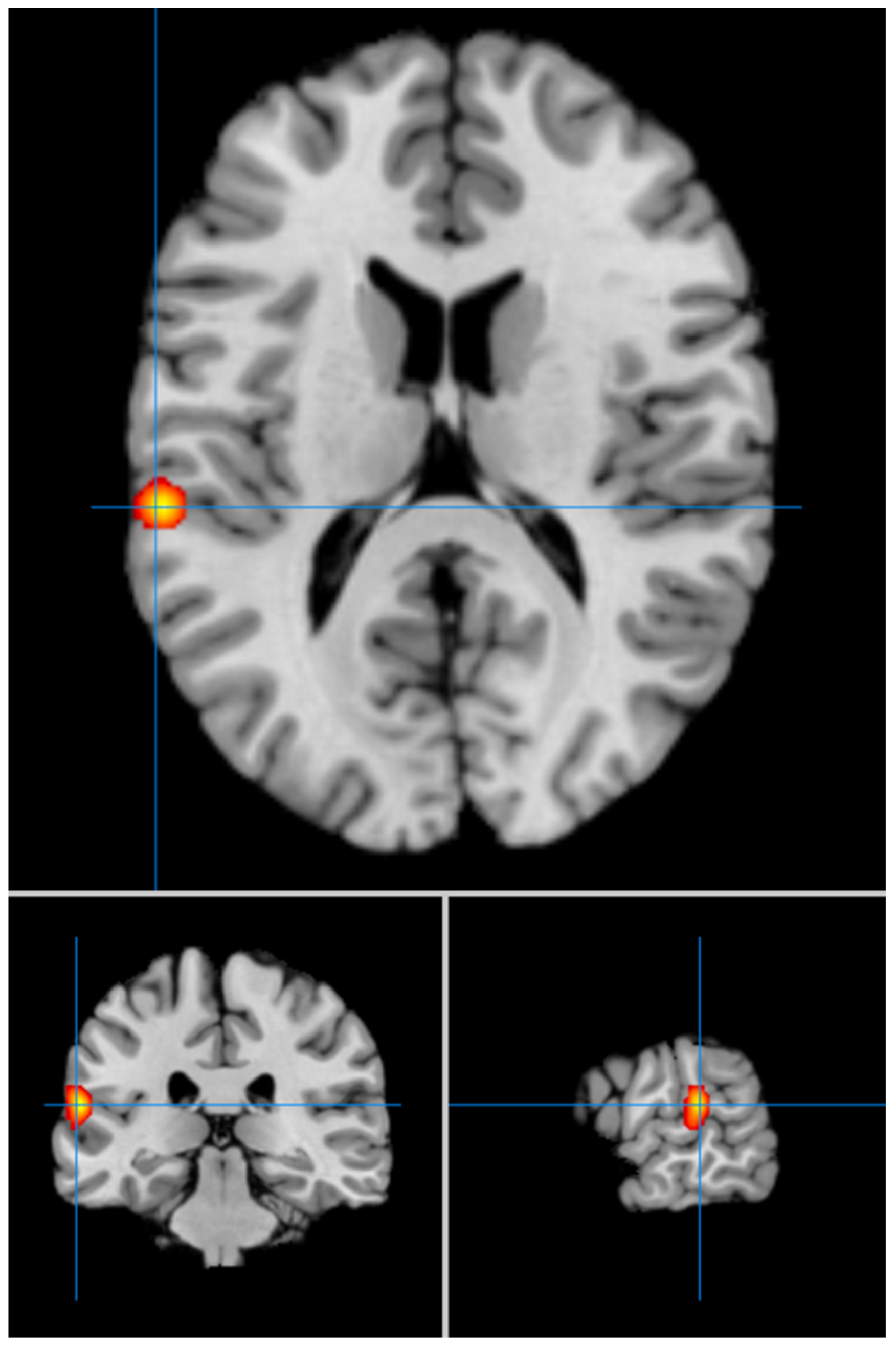 Geriatrics 09 00087 g002 Geriatrics 09 00087 g002