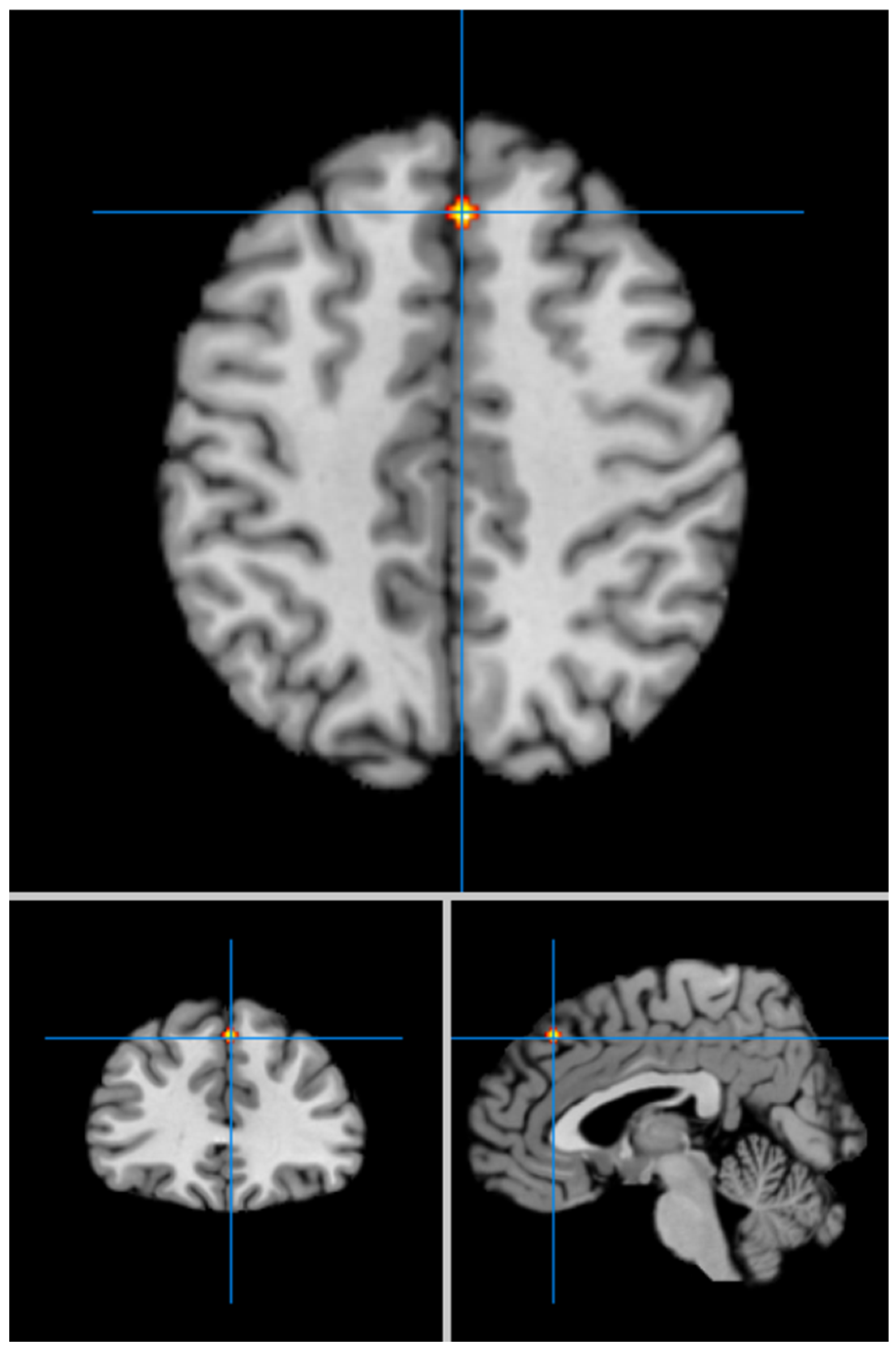 Geriatrics 09 00087 g003 Geriatrics 09 00087 g003