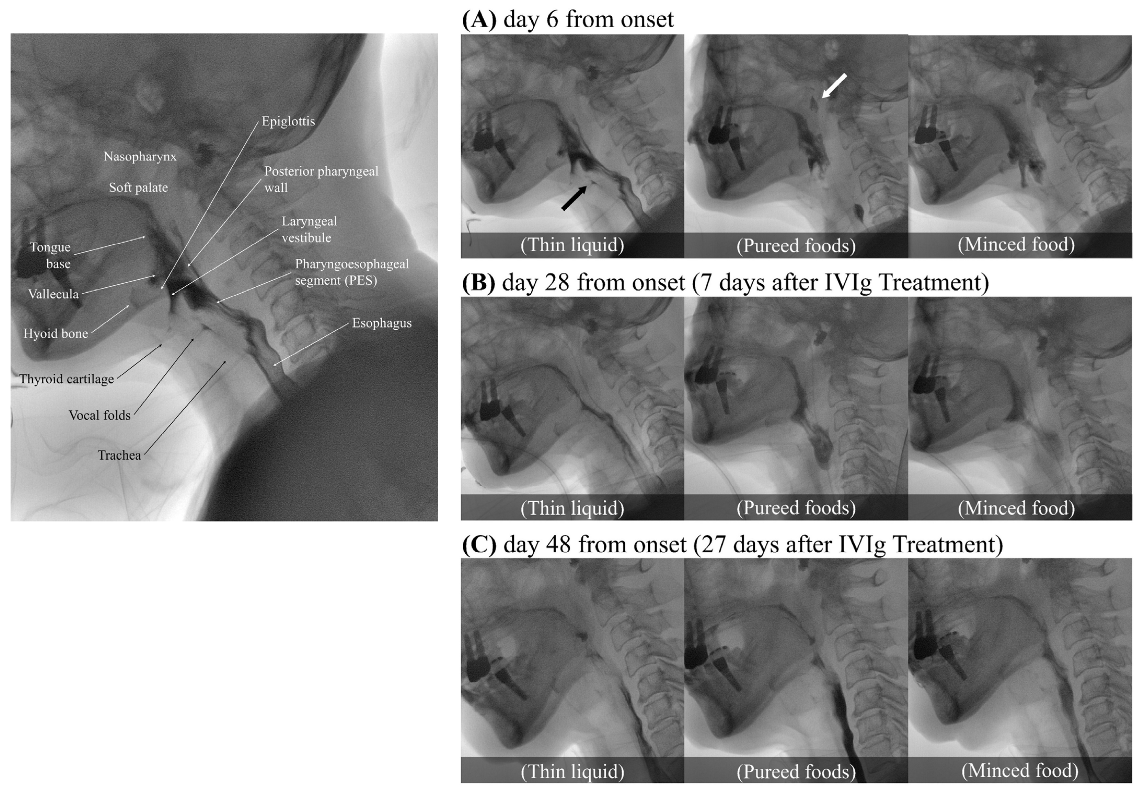 Geriatrics 09 00090 g001