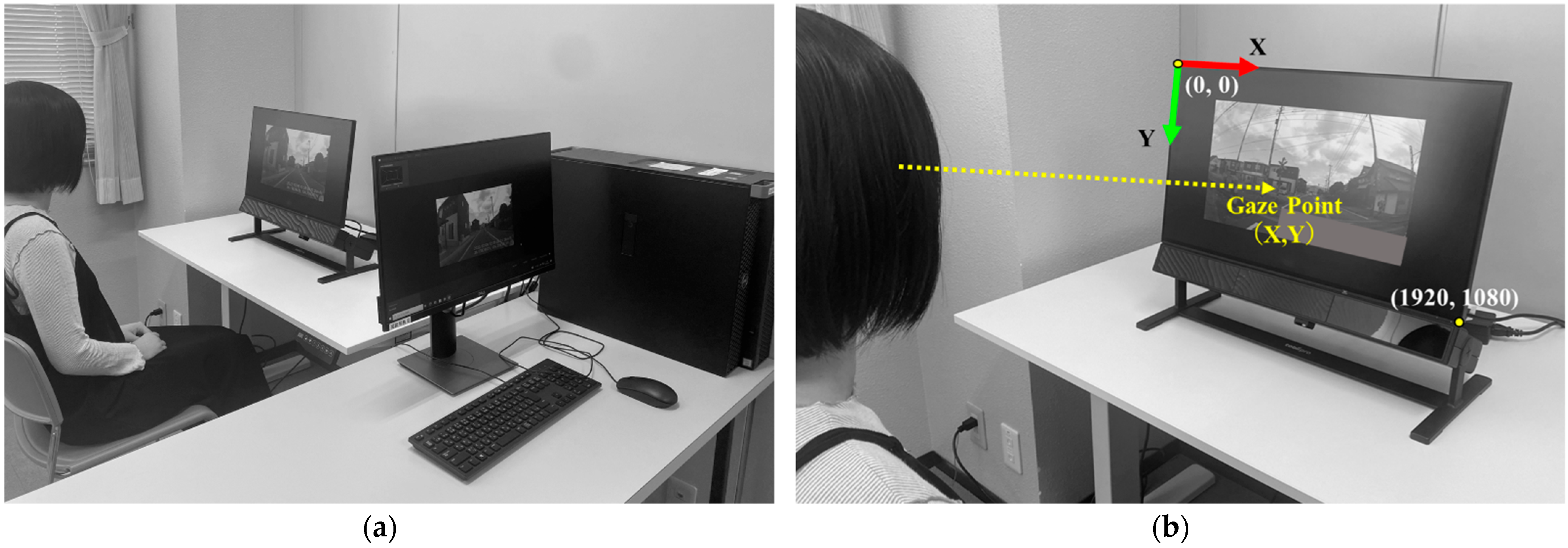 Geriatrics 09 00132 g001