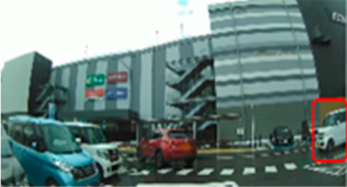 Geriatrics 09 00132 i012