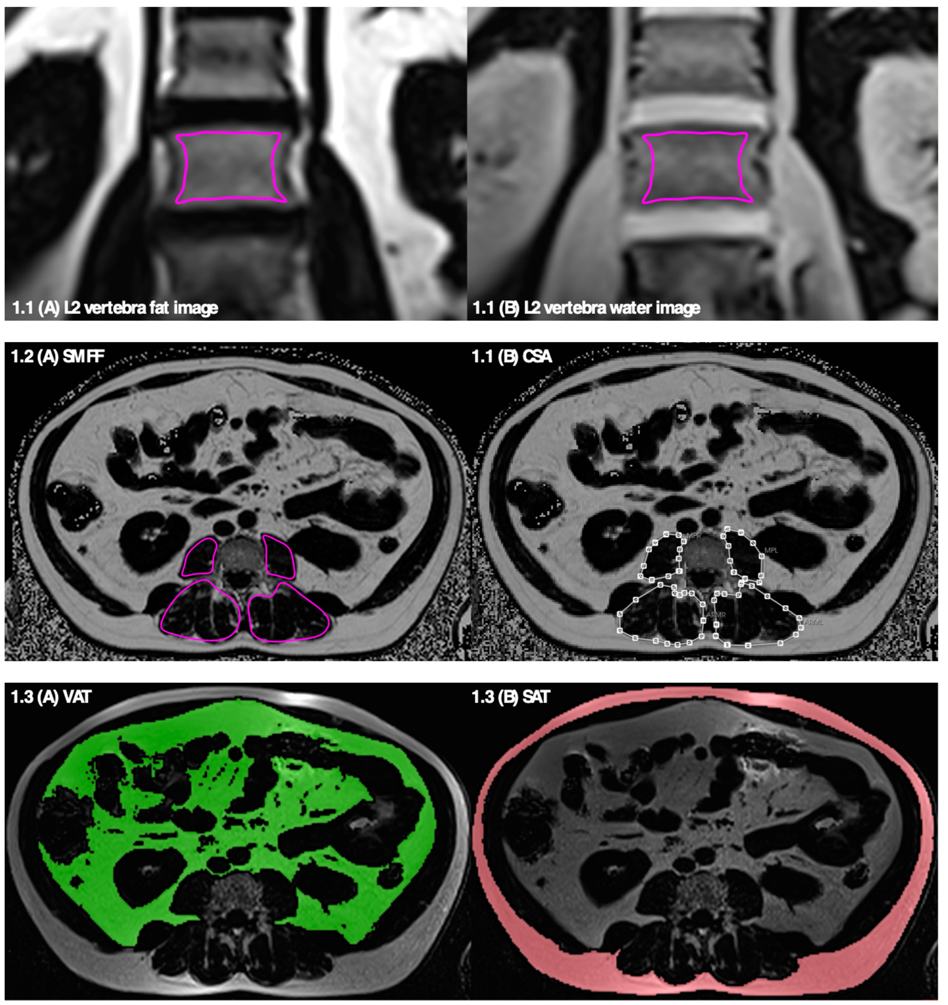 Geriatrics 09 00150 g001