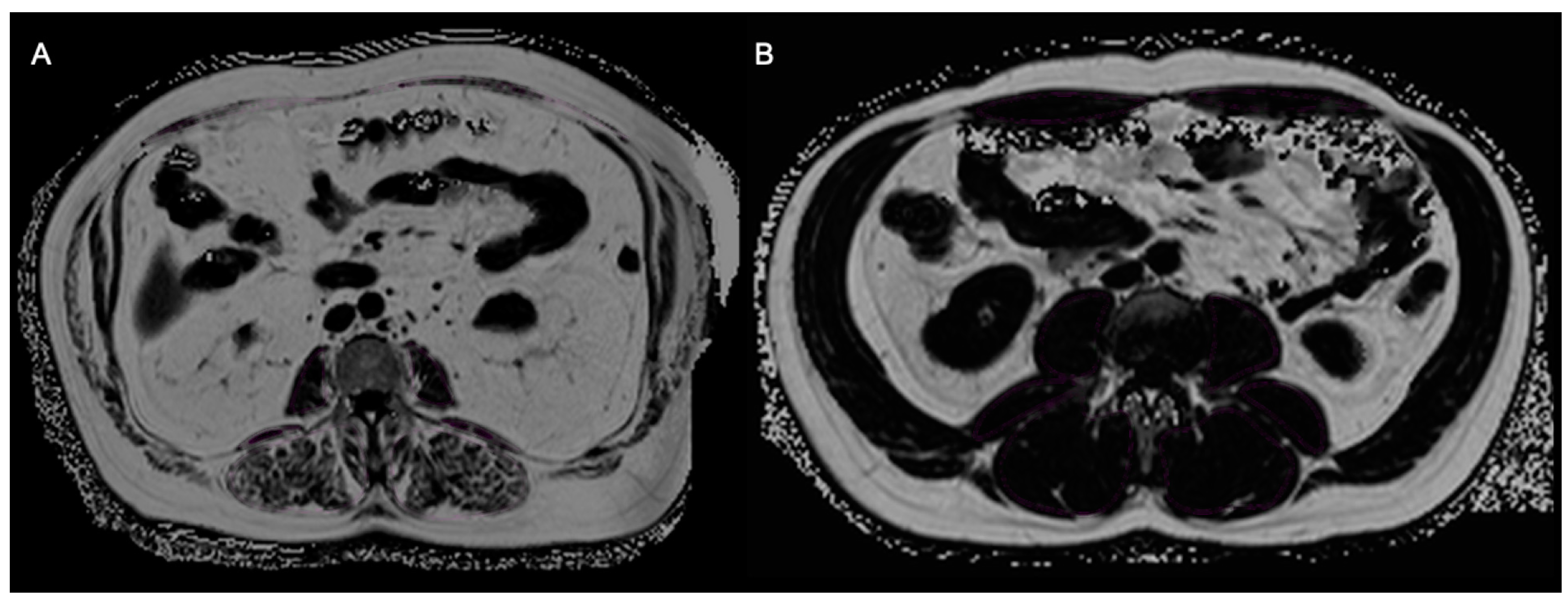 Geriatrics 09 00150 g003