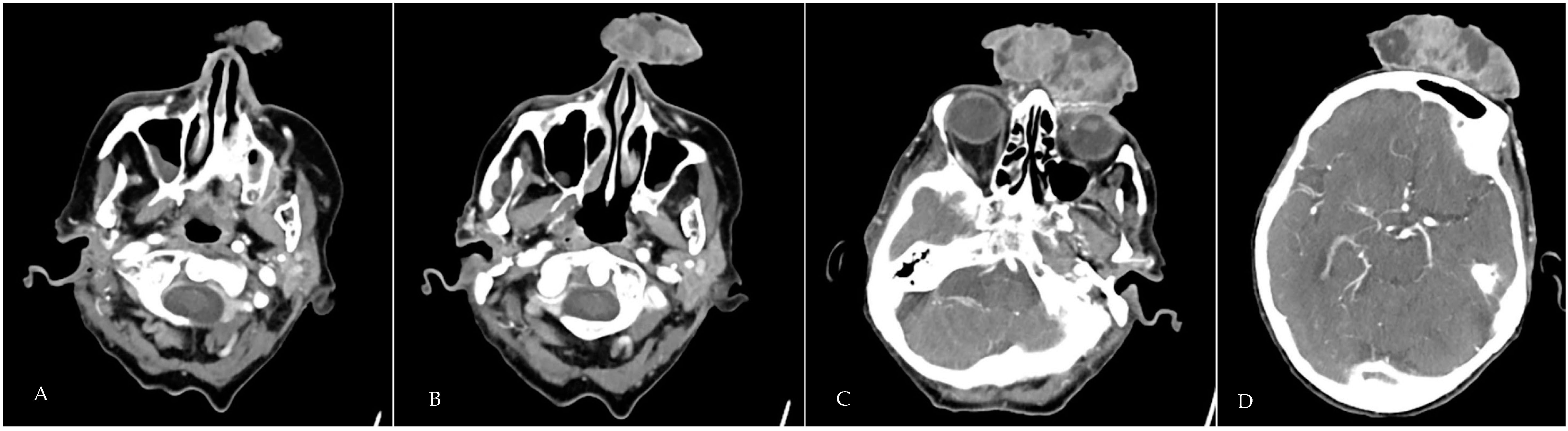Geriatrics 09 00164 g002