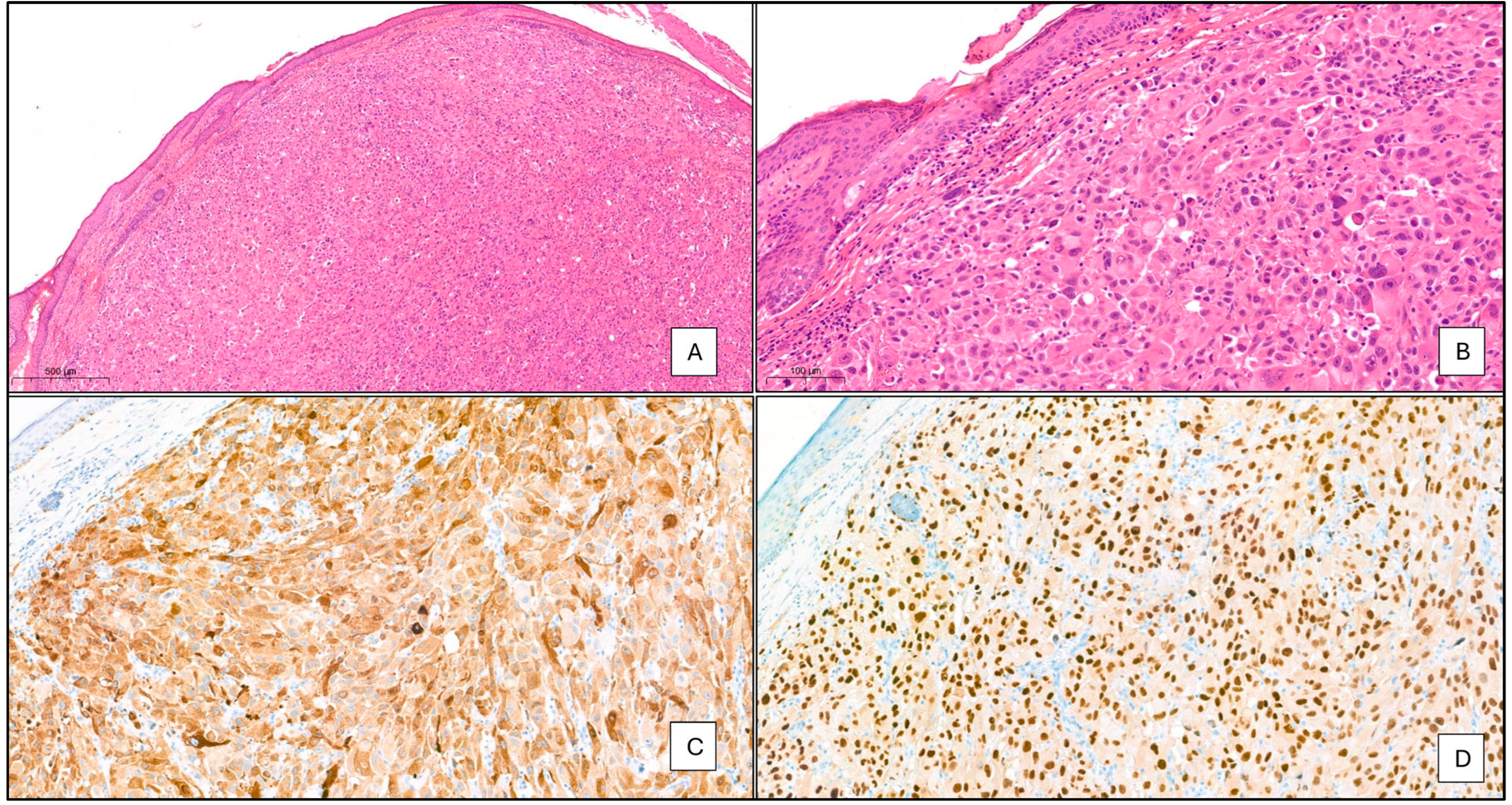 Geriatrics 09 00164 g003