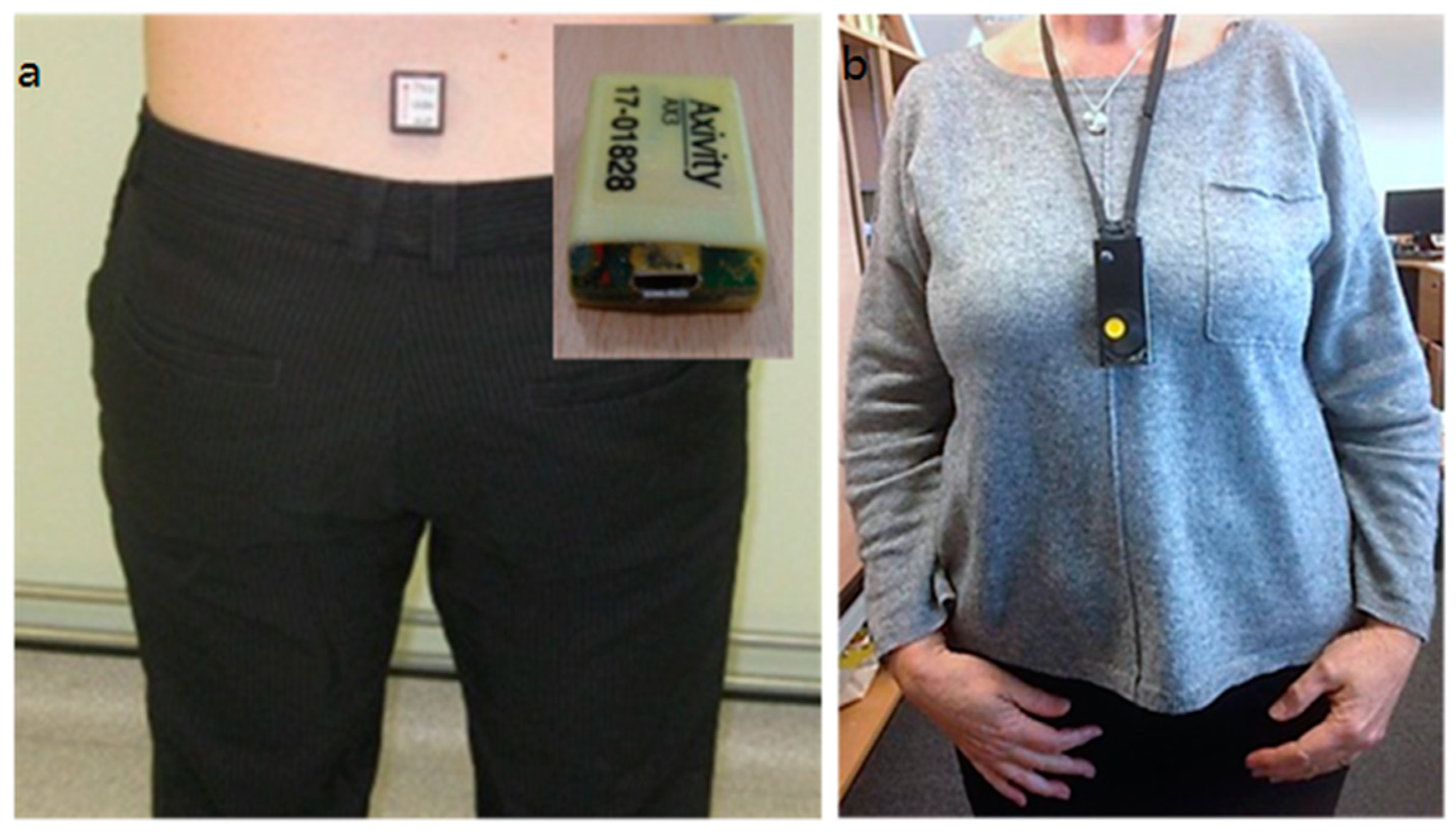 Geriatrics 10 00008 g001