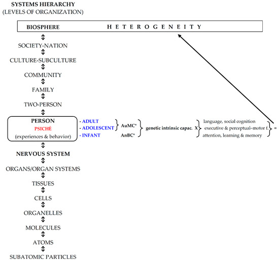 The Implementation of Infant Anoesis and Adult Autonoesis in