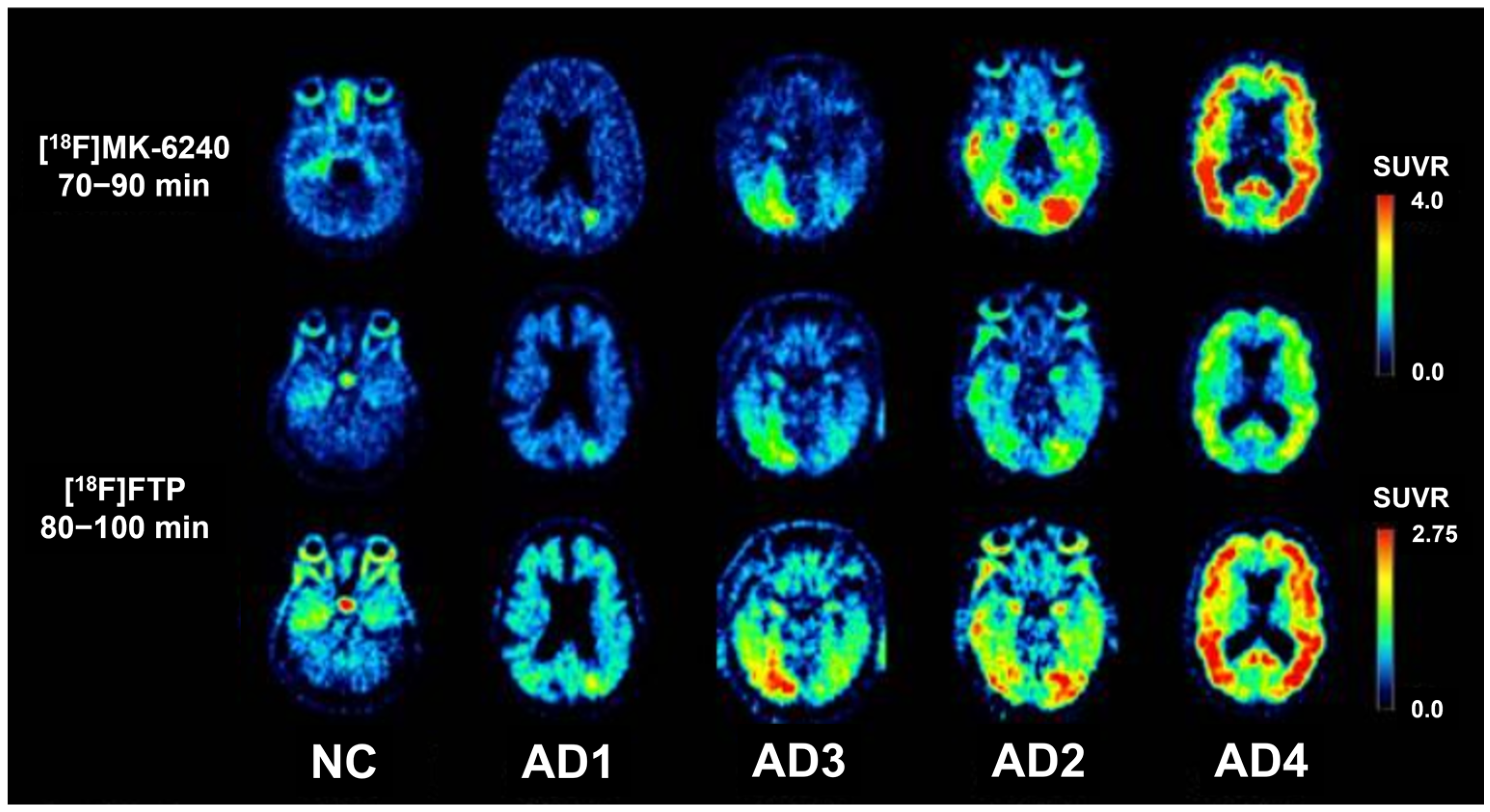 Geriatrics 10 00027 g001