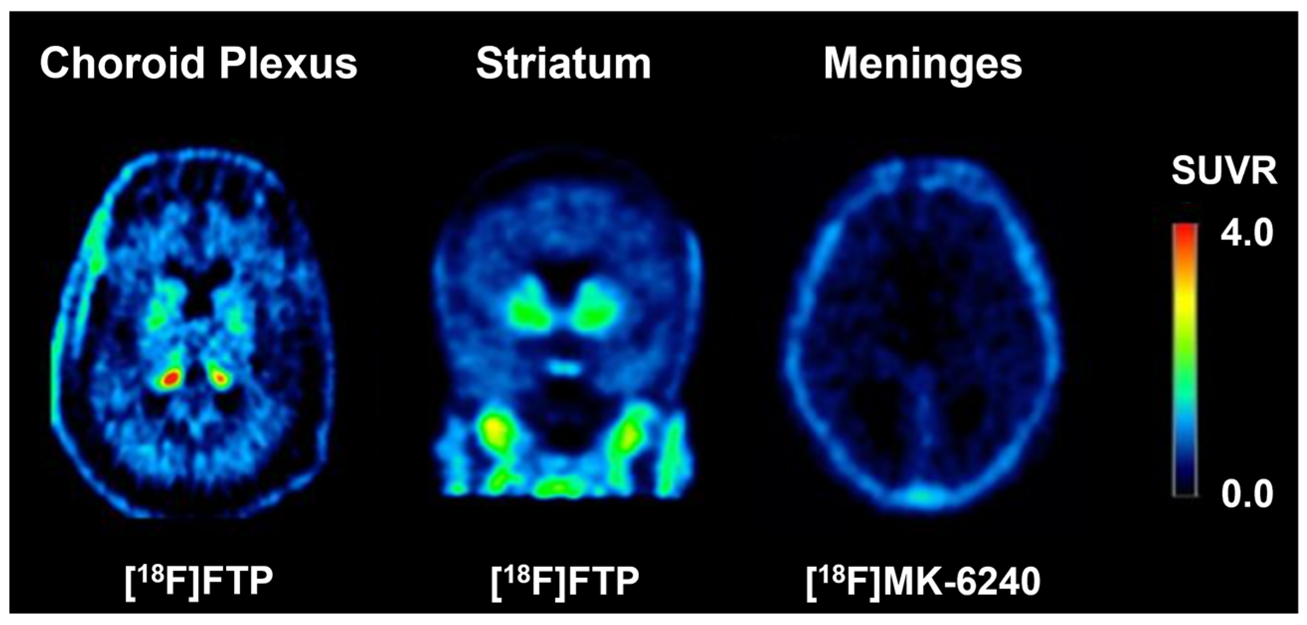 Geriatrics 10 00027 g003