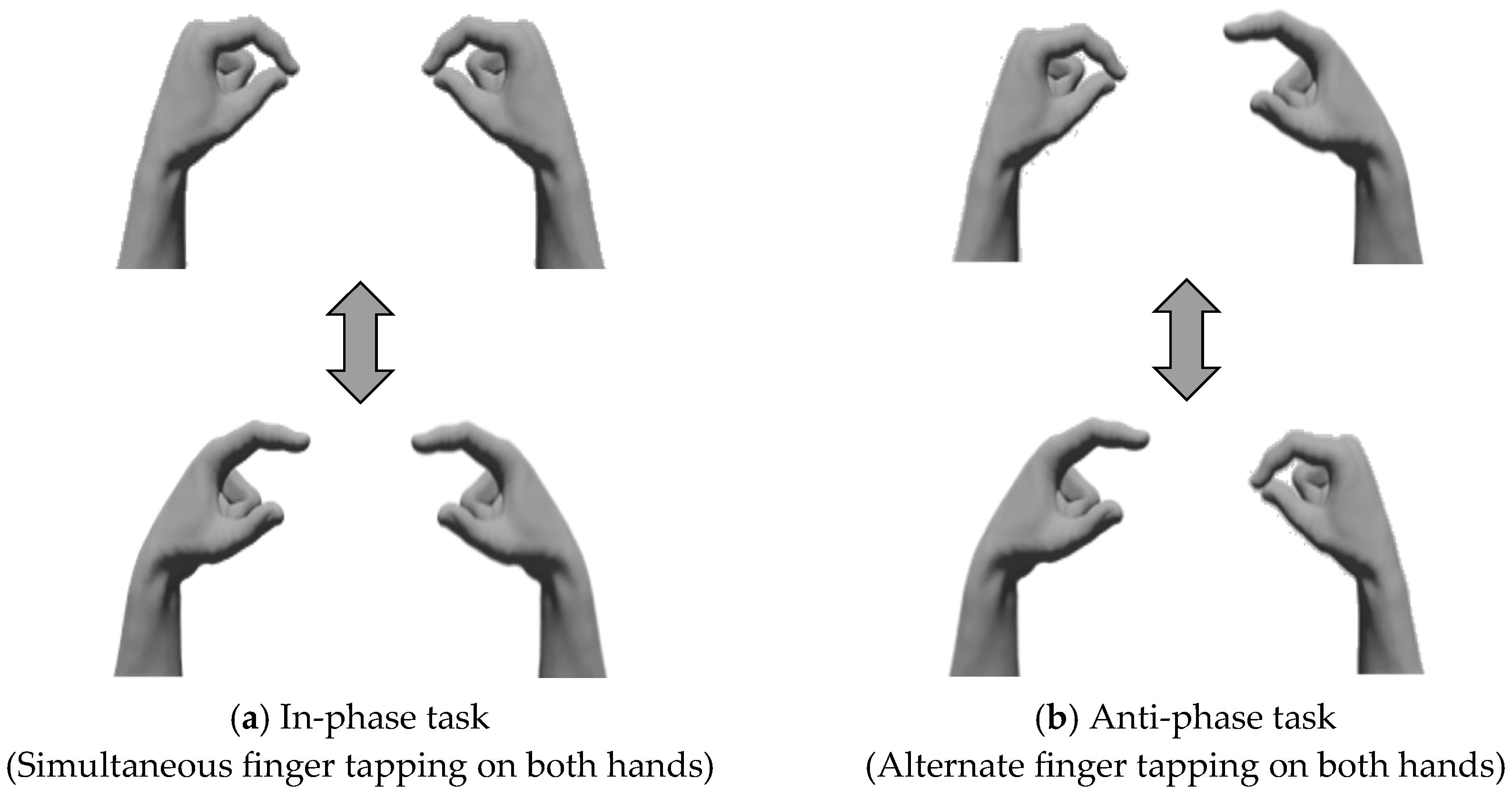 Geriatrics 10 00045 g002