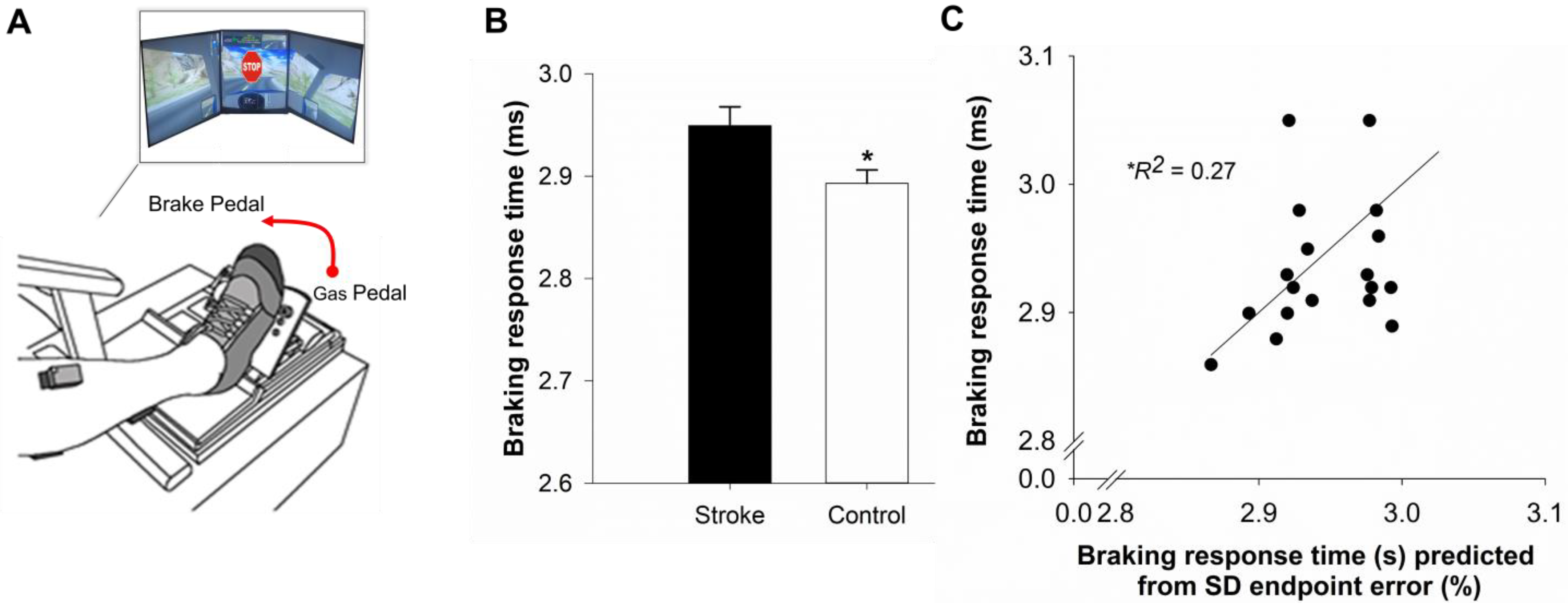 Geriatrics 10 00051 g003