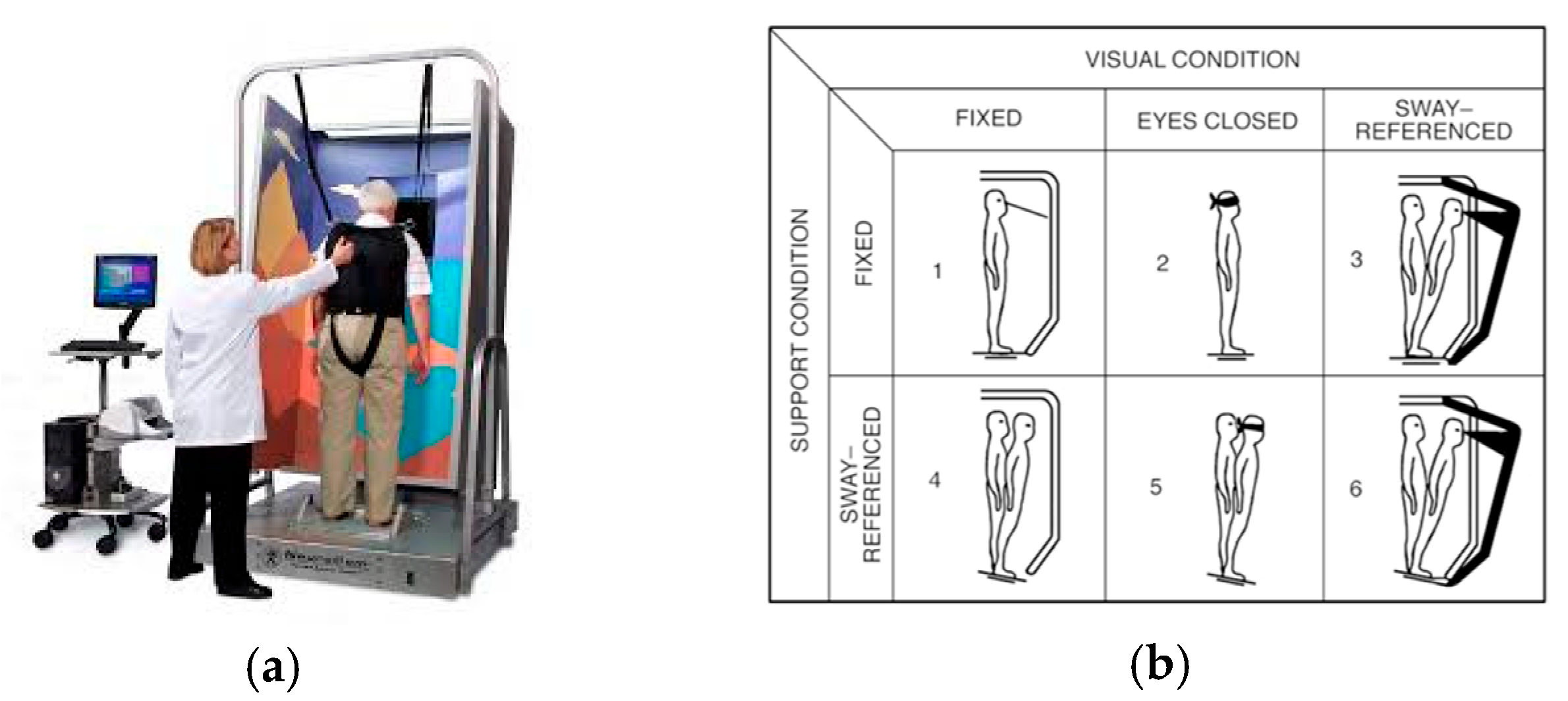Geriatrics 10 00067 g002 Geriatrics 10 00067 g002