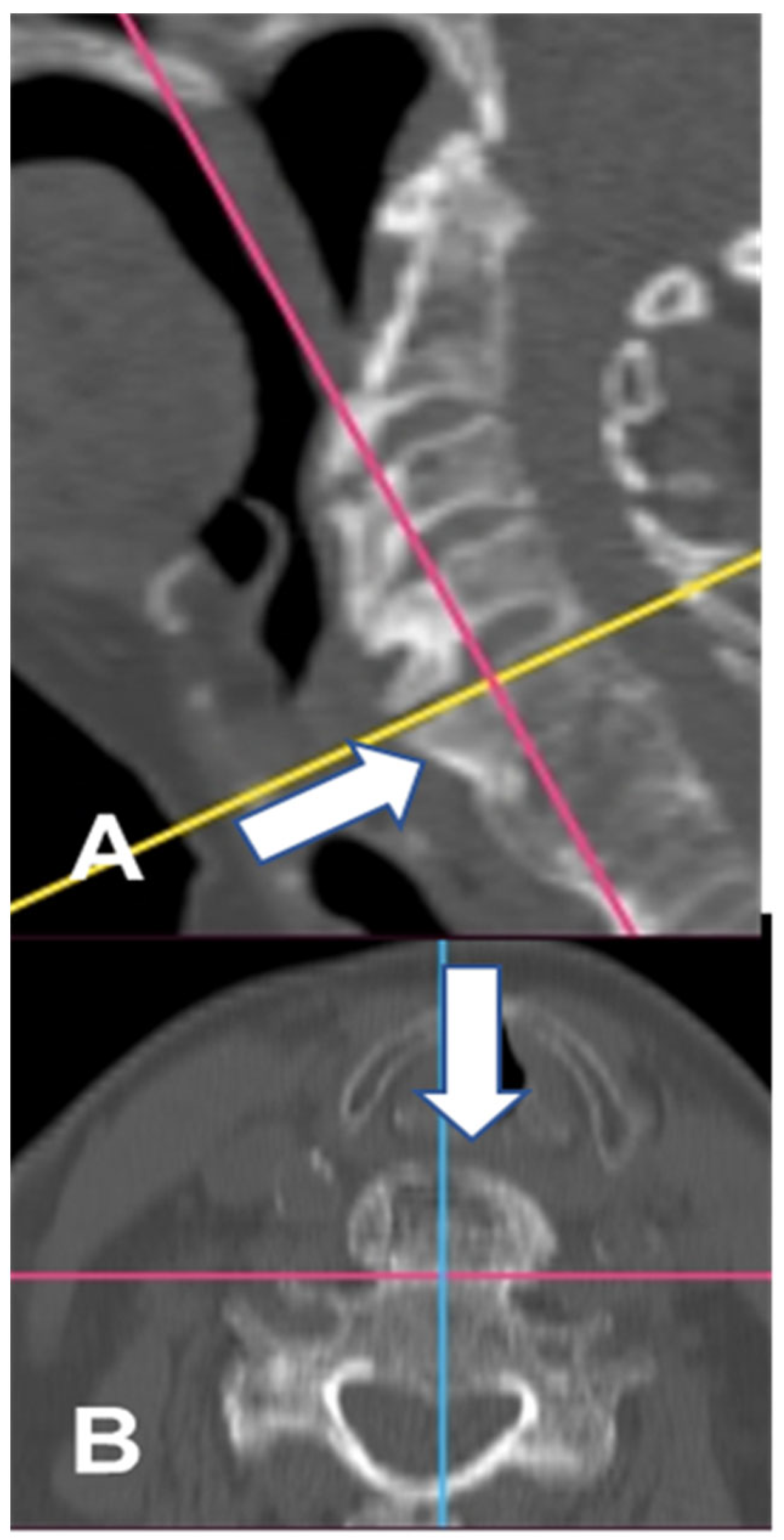 Geriatrics 10 00092 g001