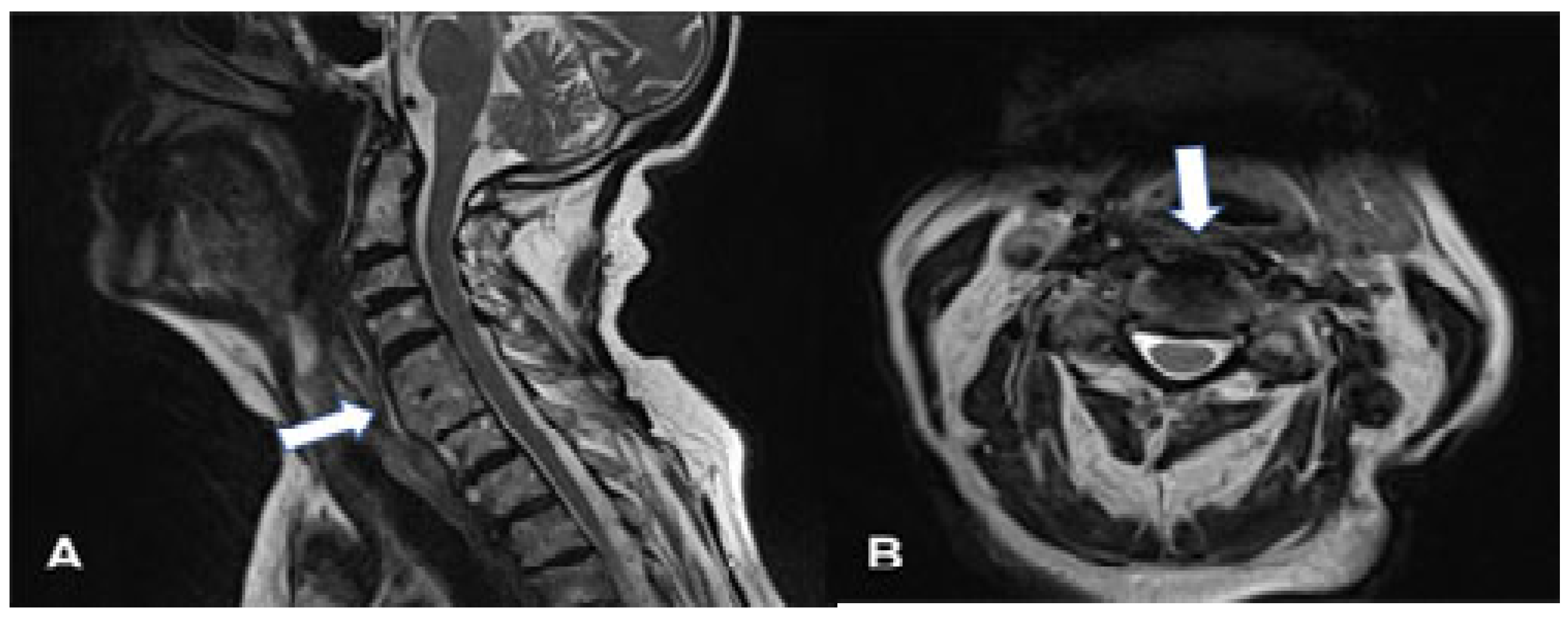 Geriatrics 10 00092 g003