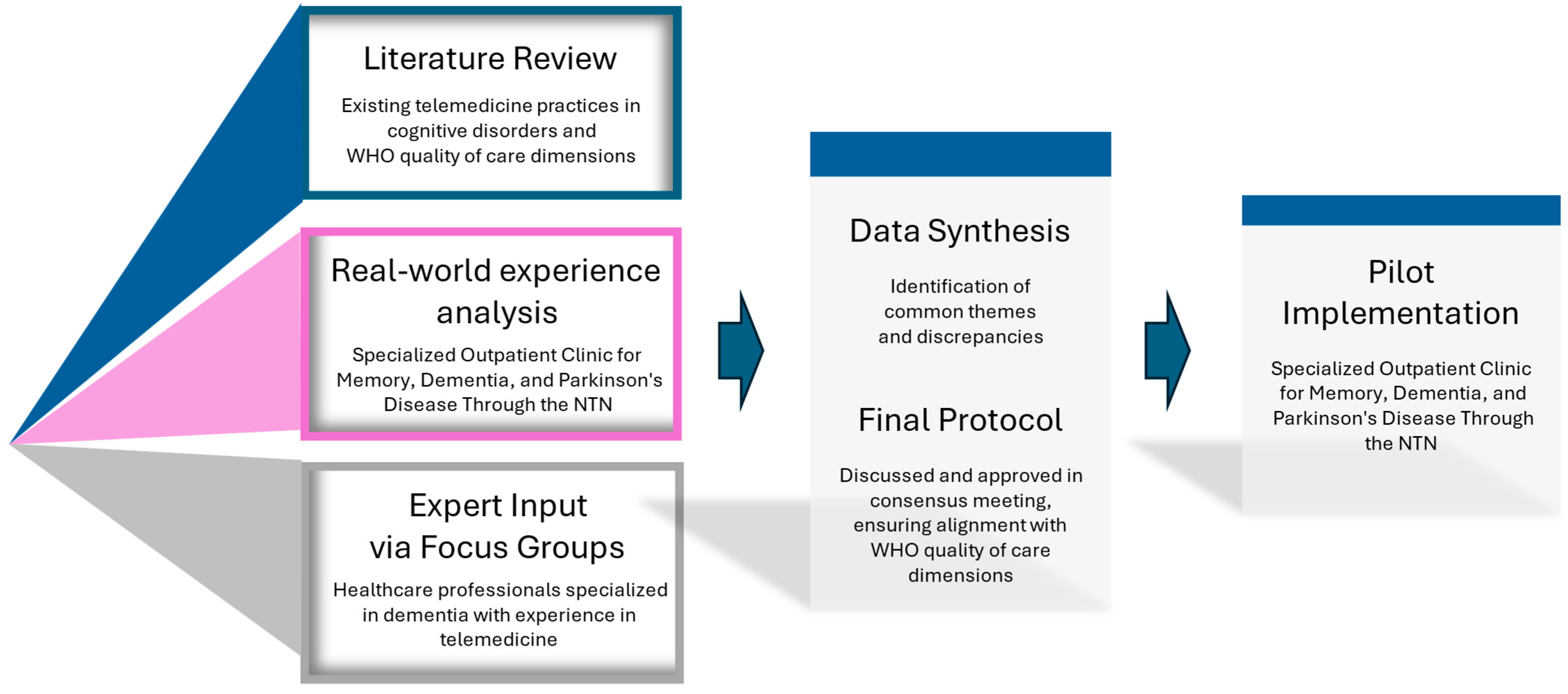 Geriatrics 10 00094 g001
