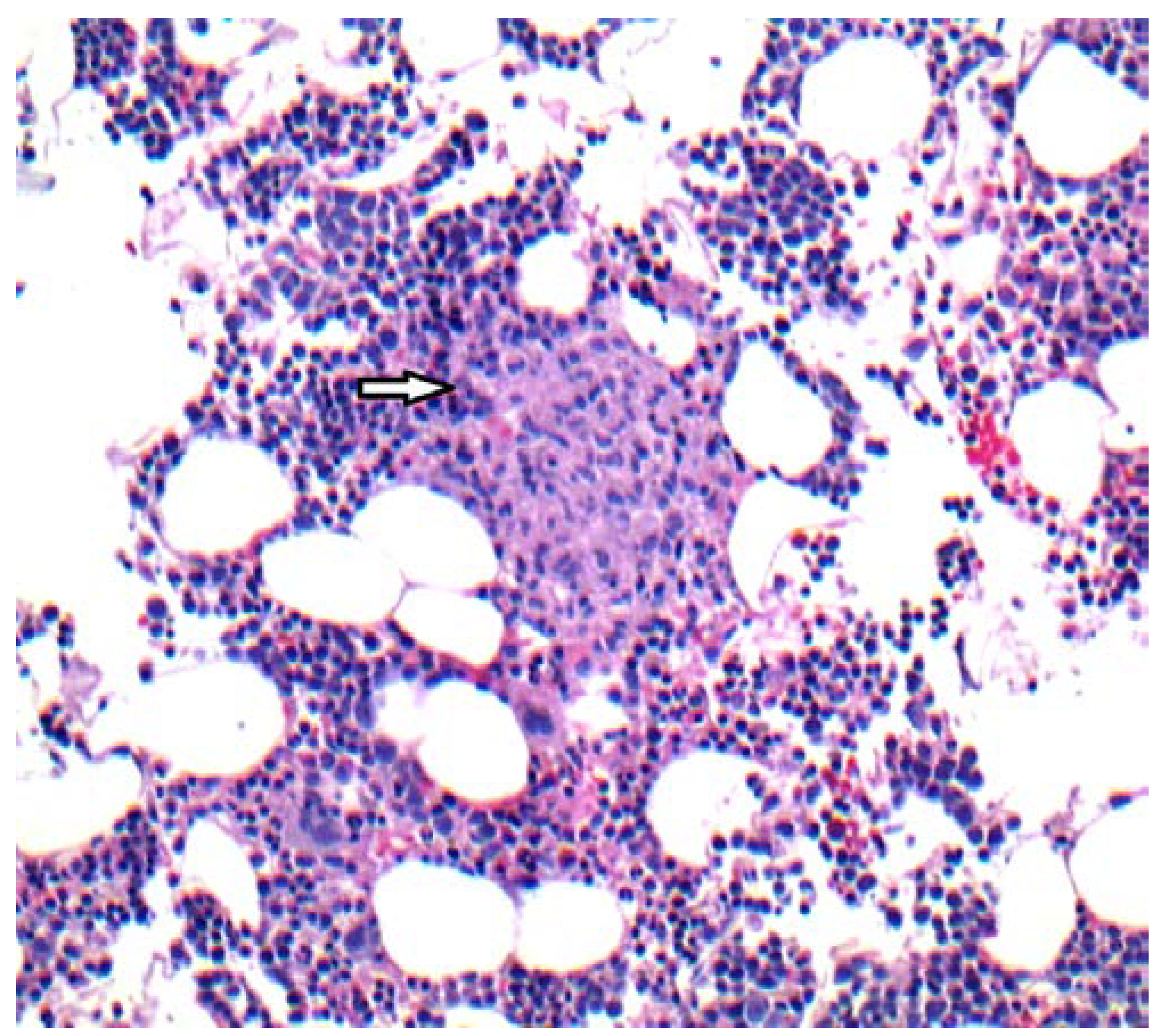 Germs 07 00149 g001 Germs 07 00149 g001