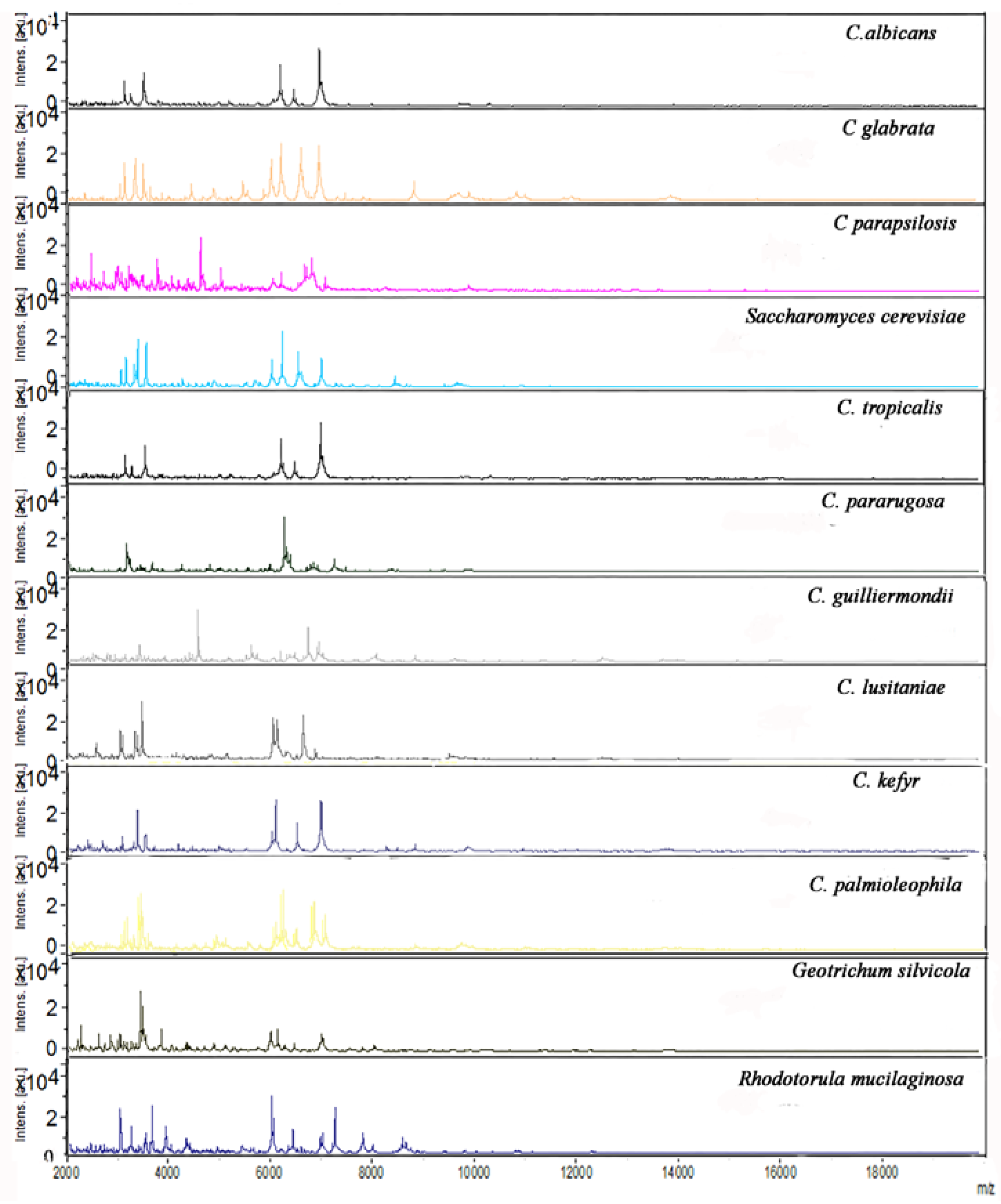 Germs 08 00058 g002 Germs 08 00058 g002