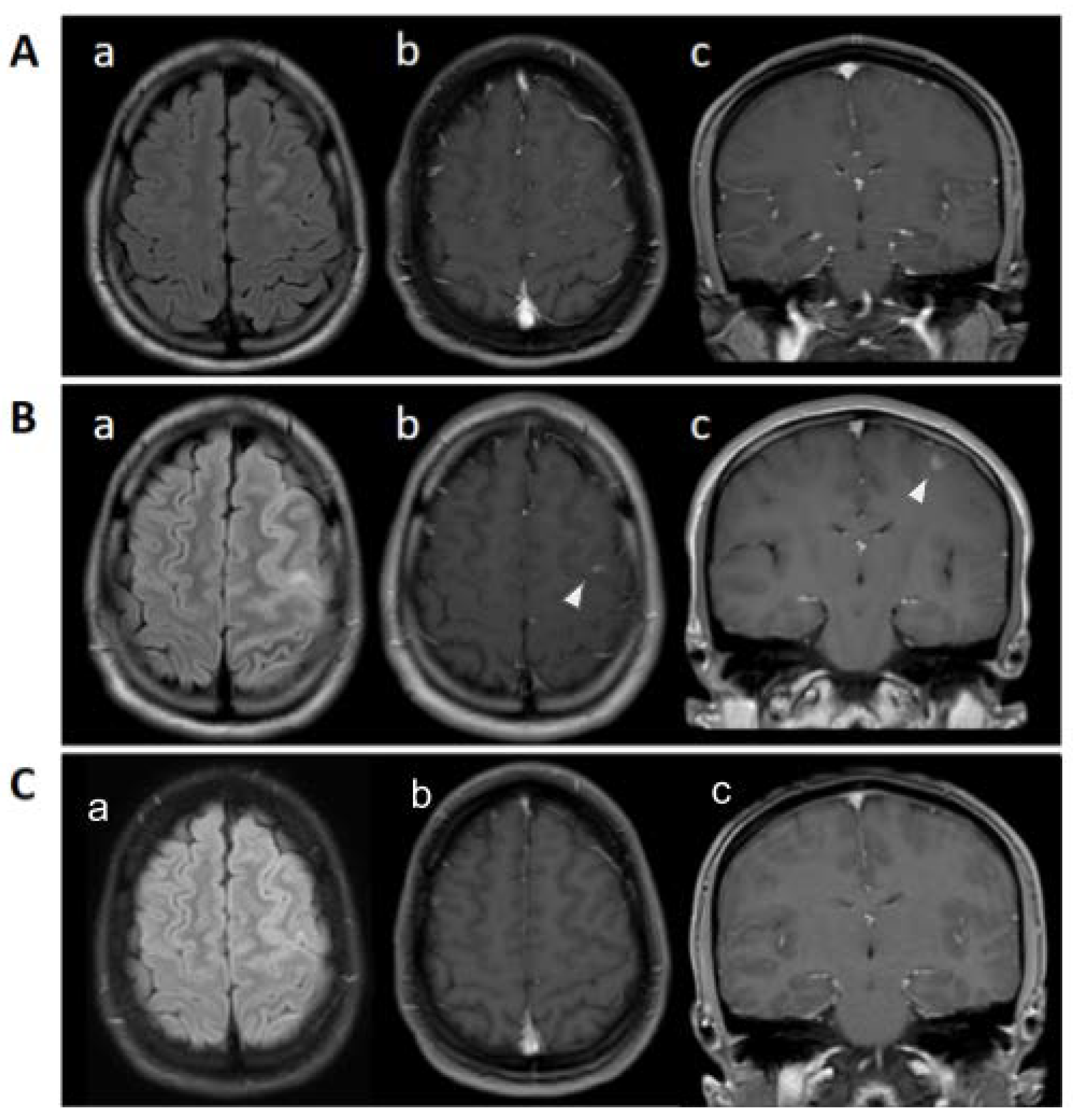 Germs 11 00111 g001 Germs 11 00111 g001