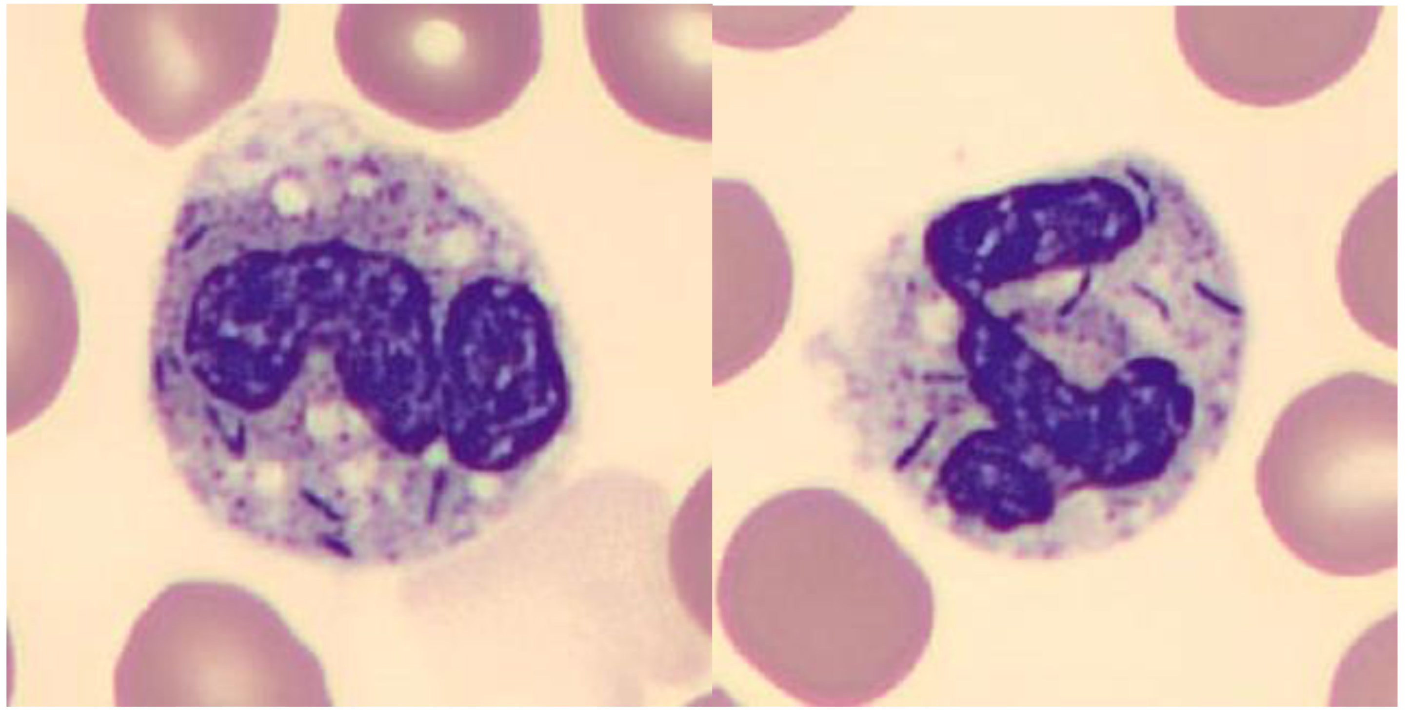 Germs 12 00124 g001 Germs 12 00124 g001