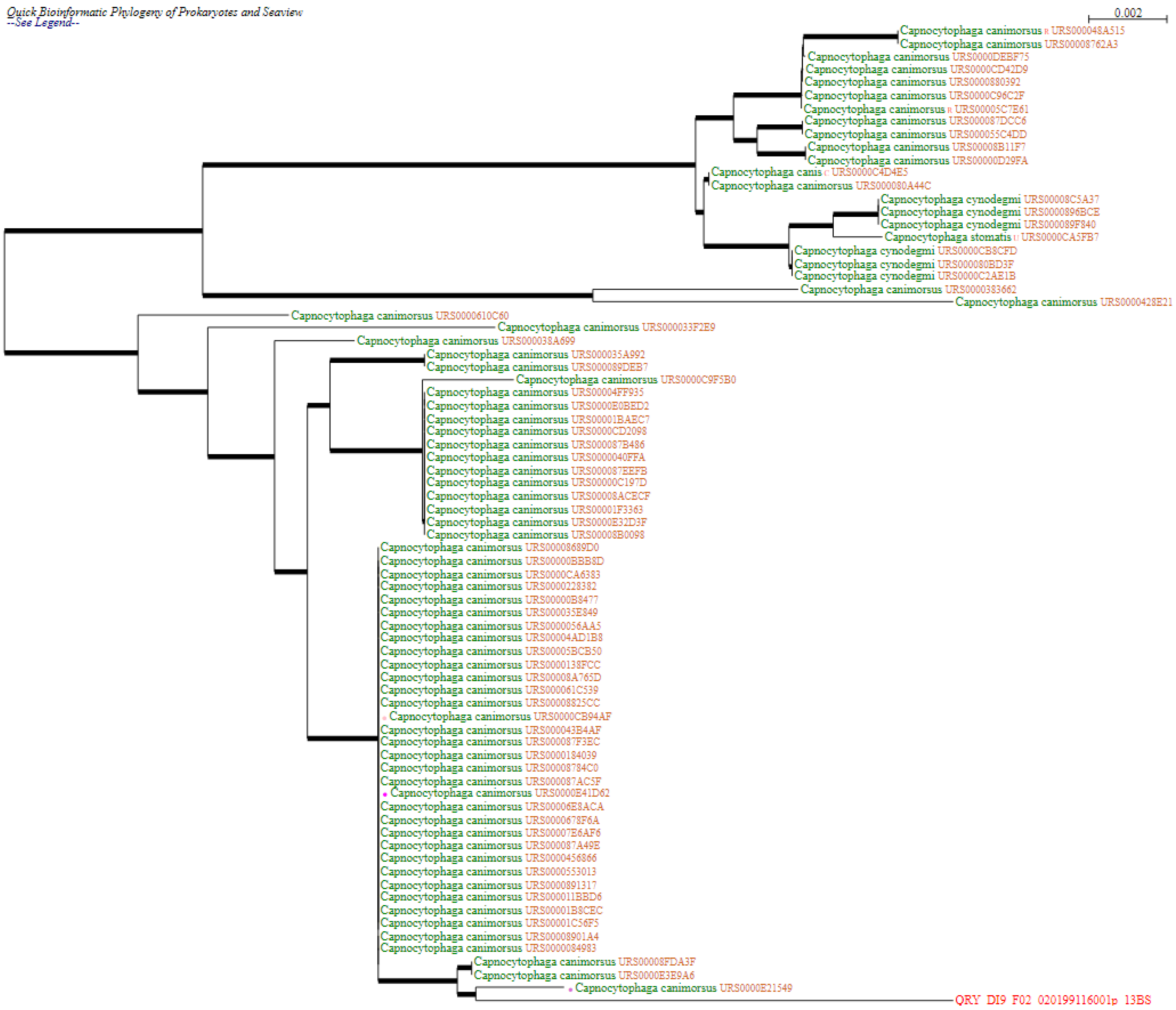 Germs 12 00124 g003 Germs 12 00124 g003
