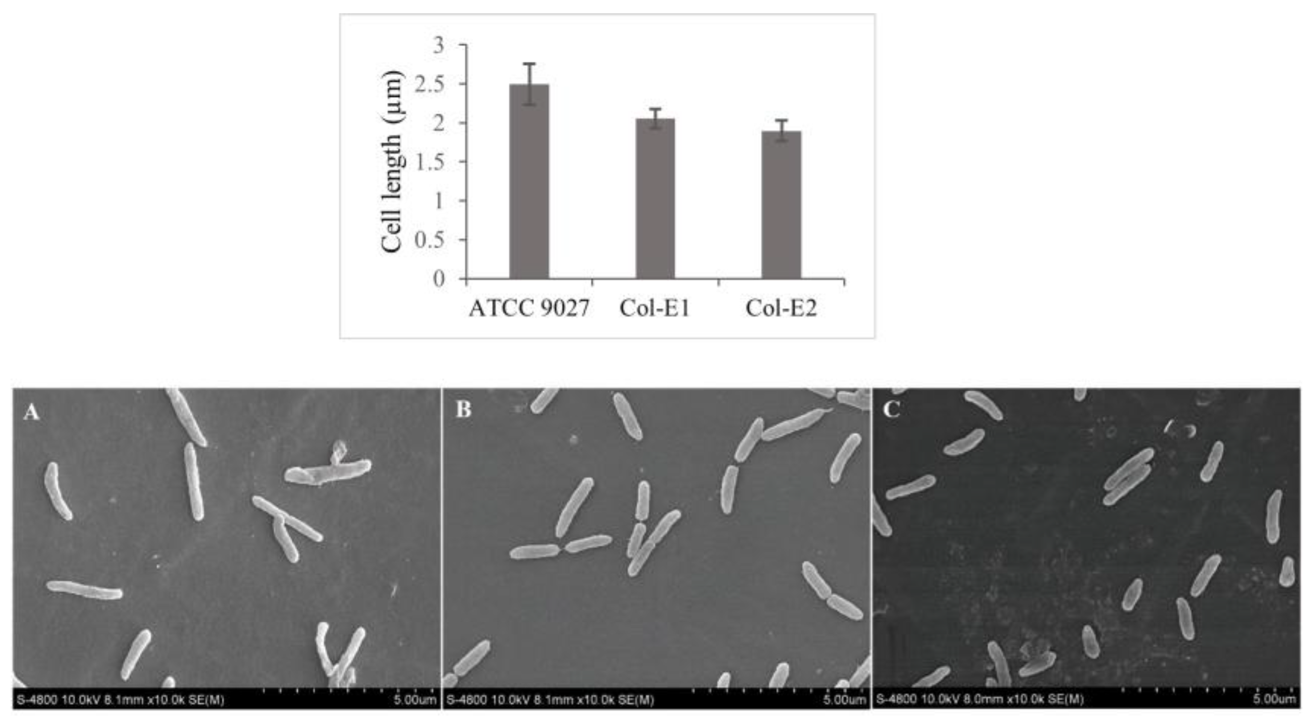 Germs 14 00246 g002 Germs 14 00246 g002