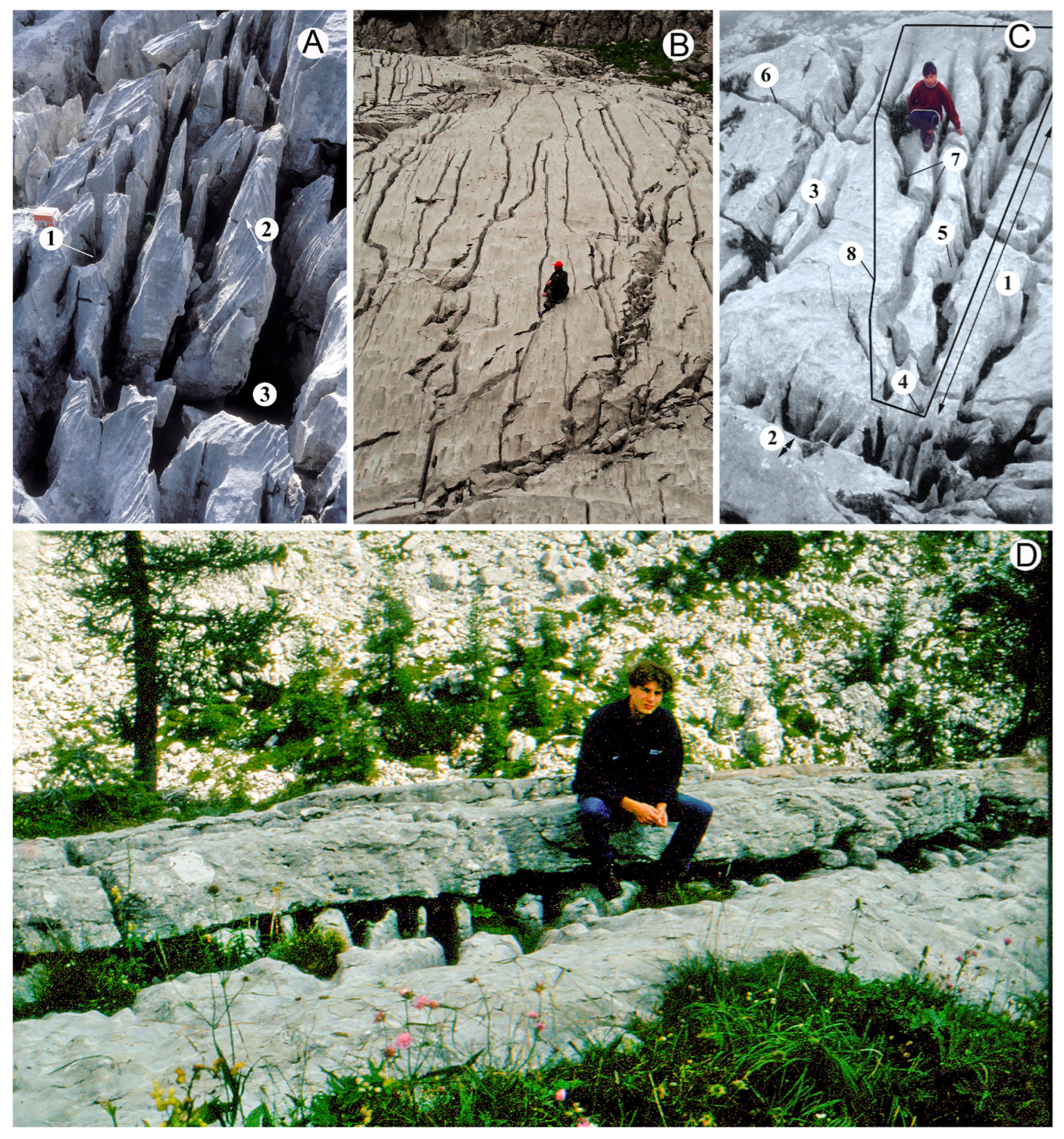 Glacies 01 00008 g003