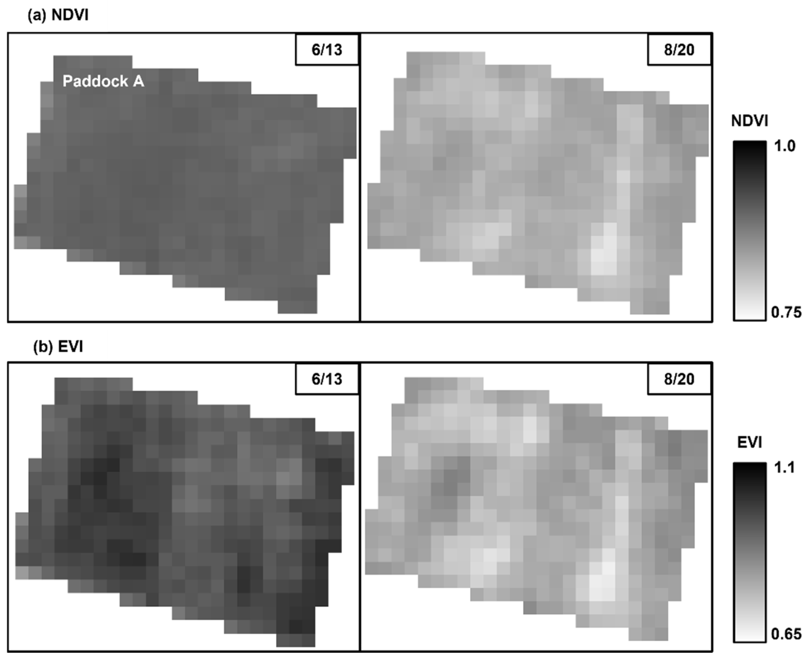 Grasses 02 00006 g006