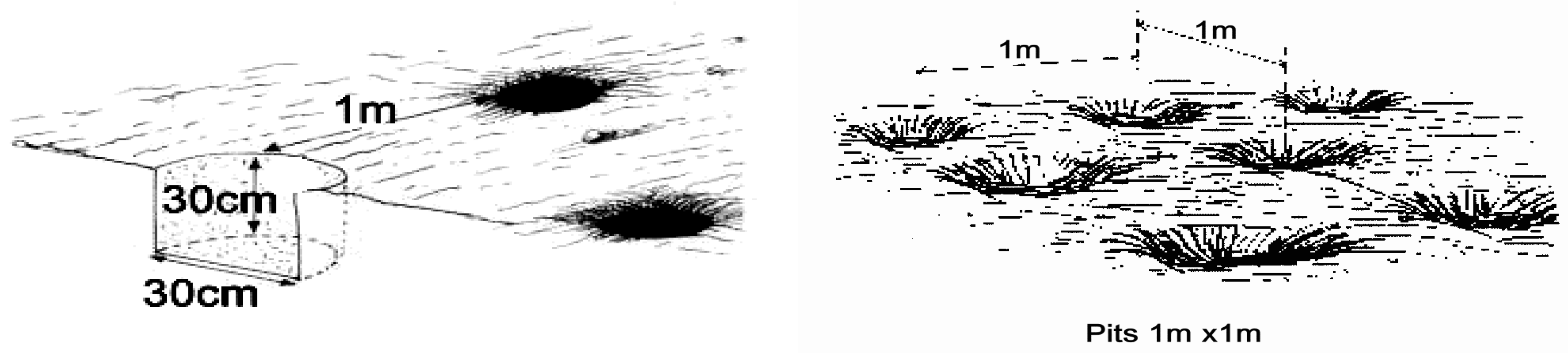 Grasses 02 00013 g002 Grasses 02 00013 g002