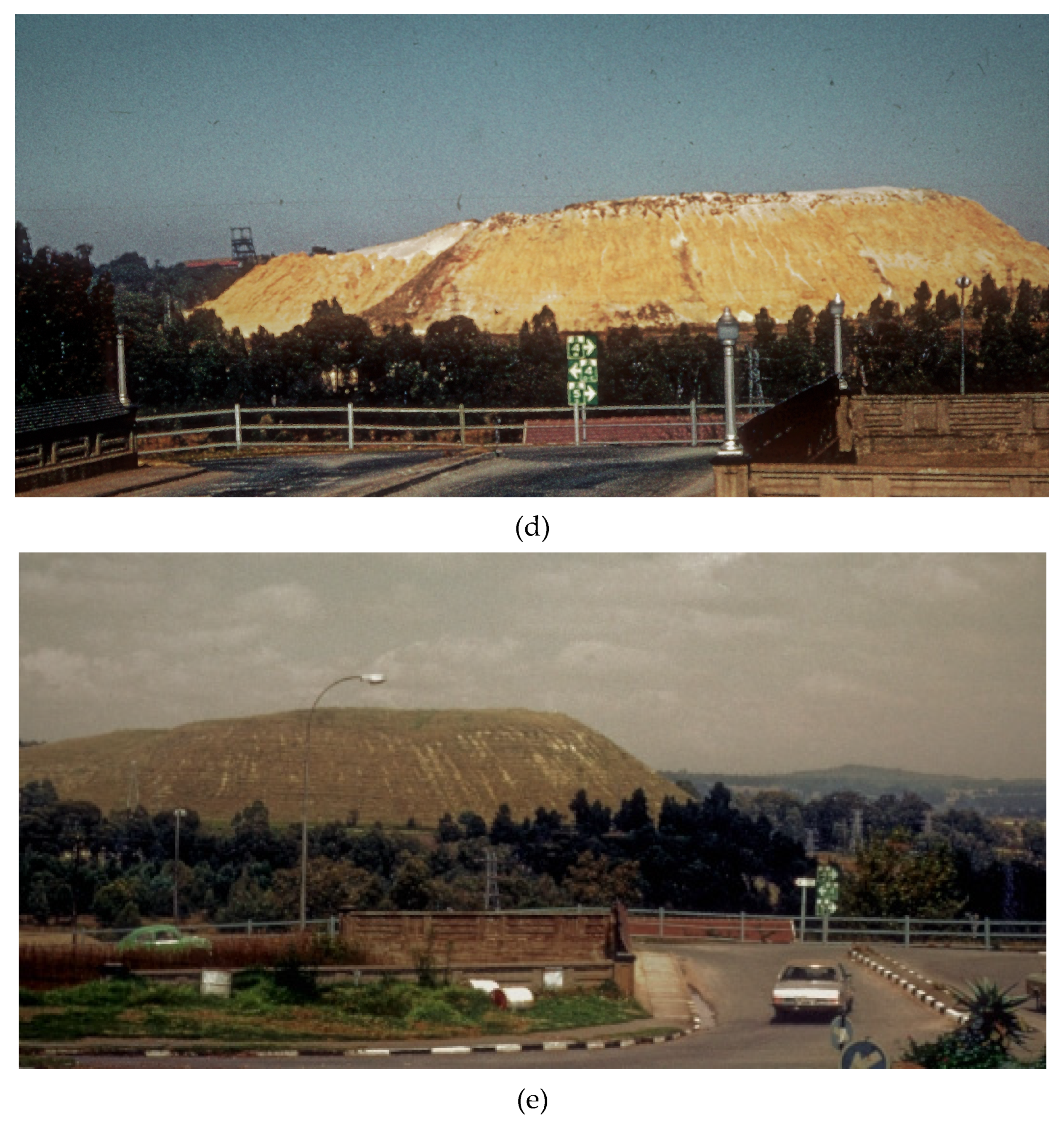 Grasses 02 00018 g003b