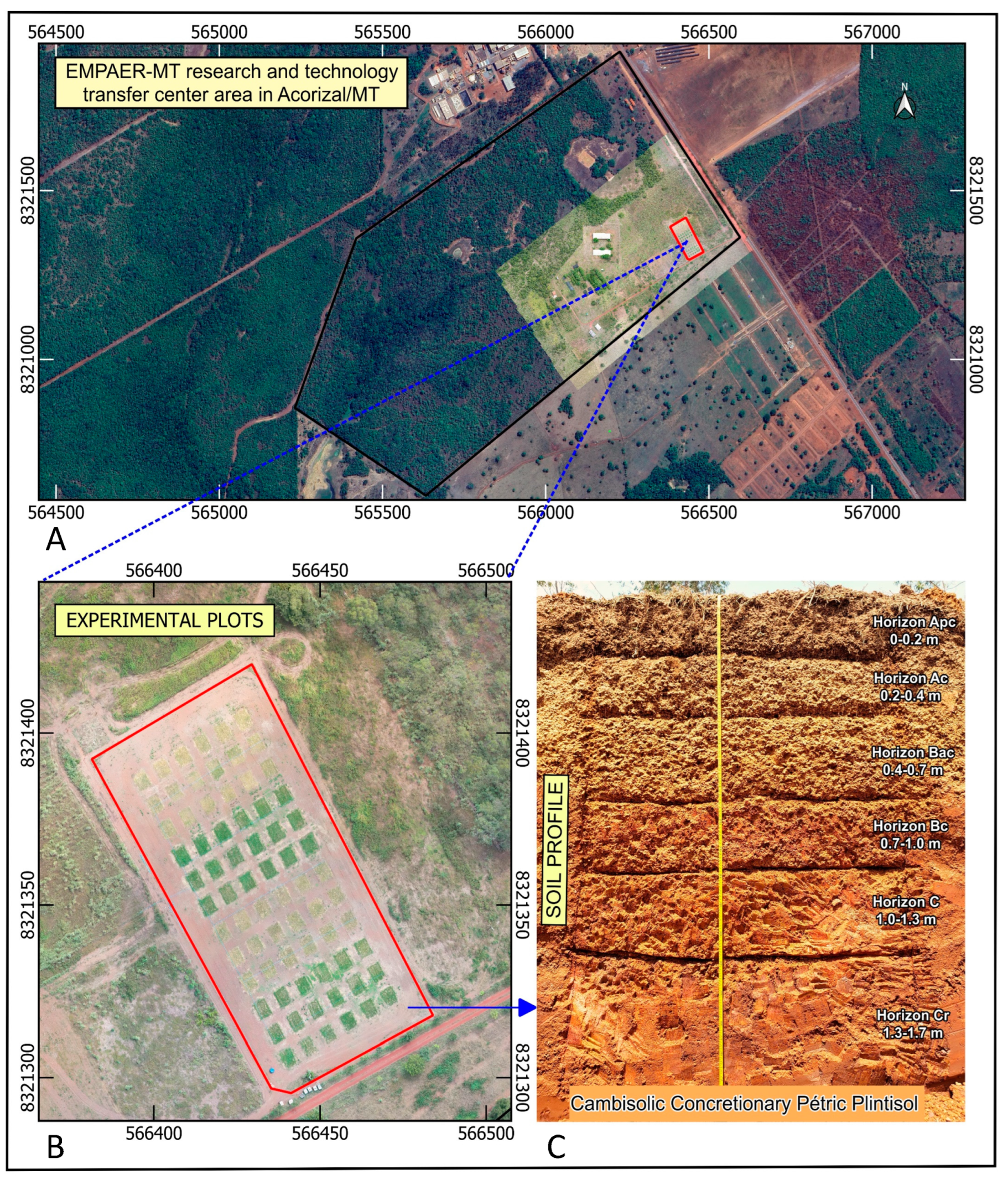 Grasses 03 00005 g002