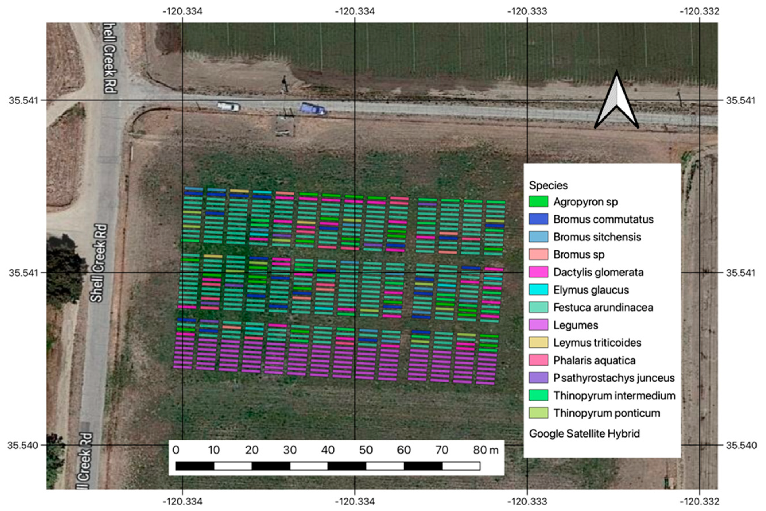 Grasses 03 00007 g001