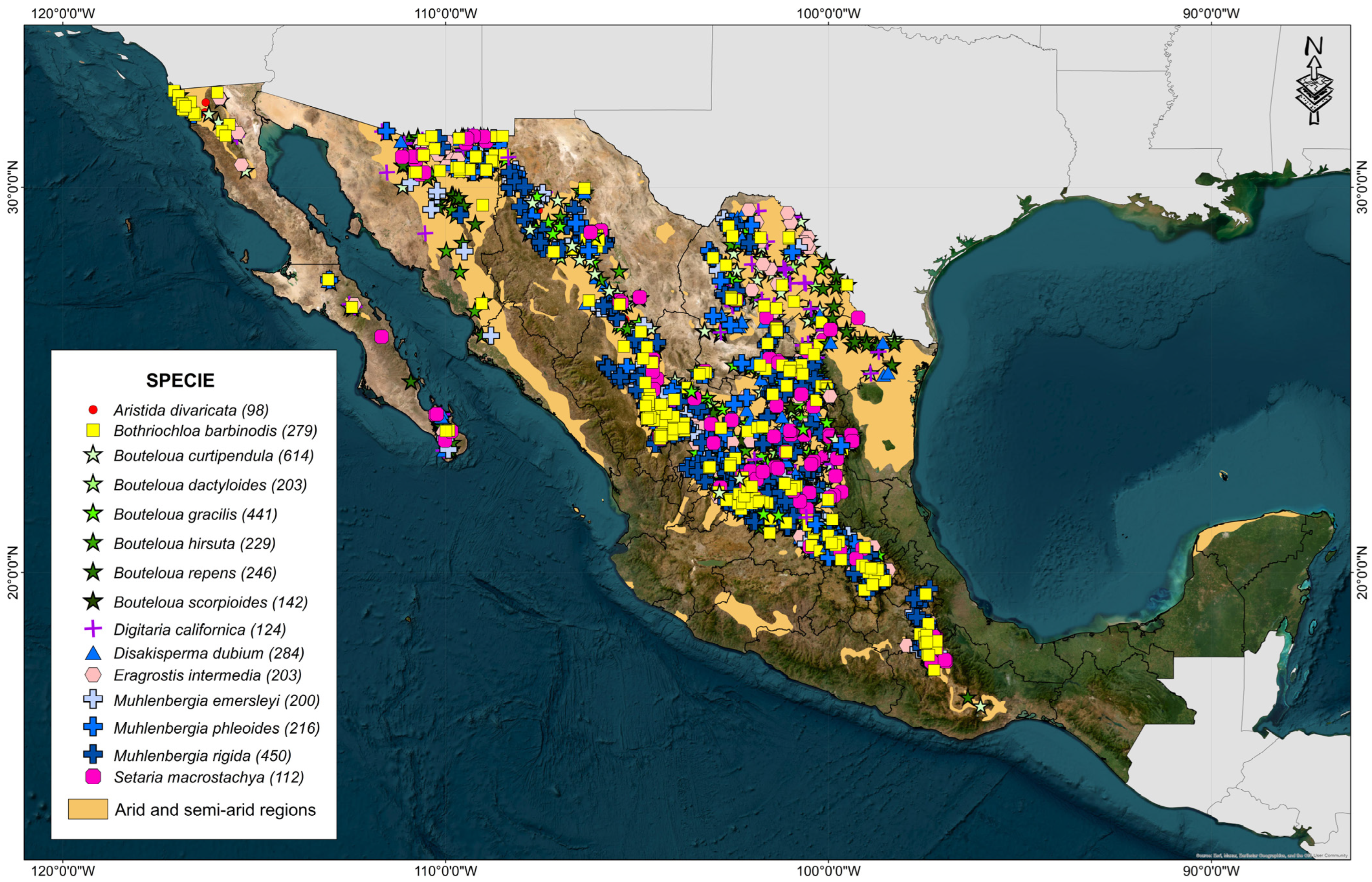 Grasses 03 00008 g001