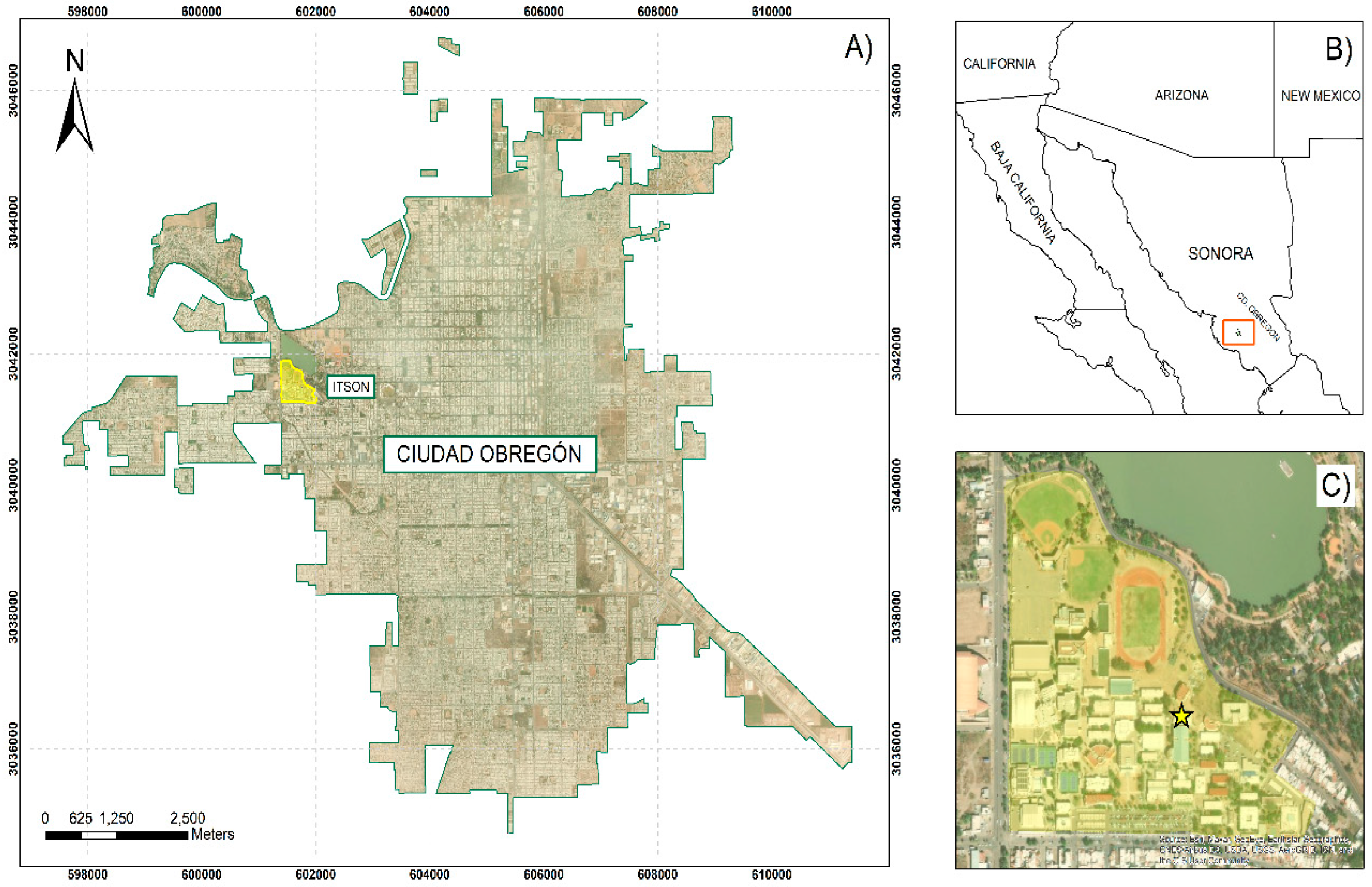 Grasses 03 00024 g001