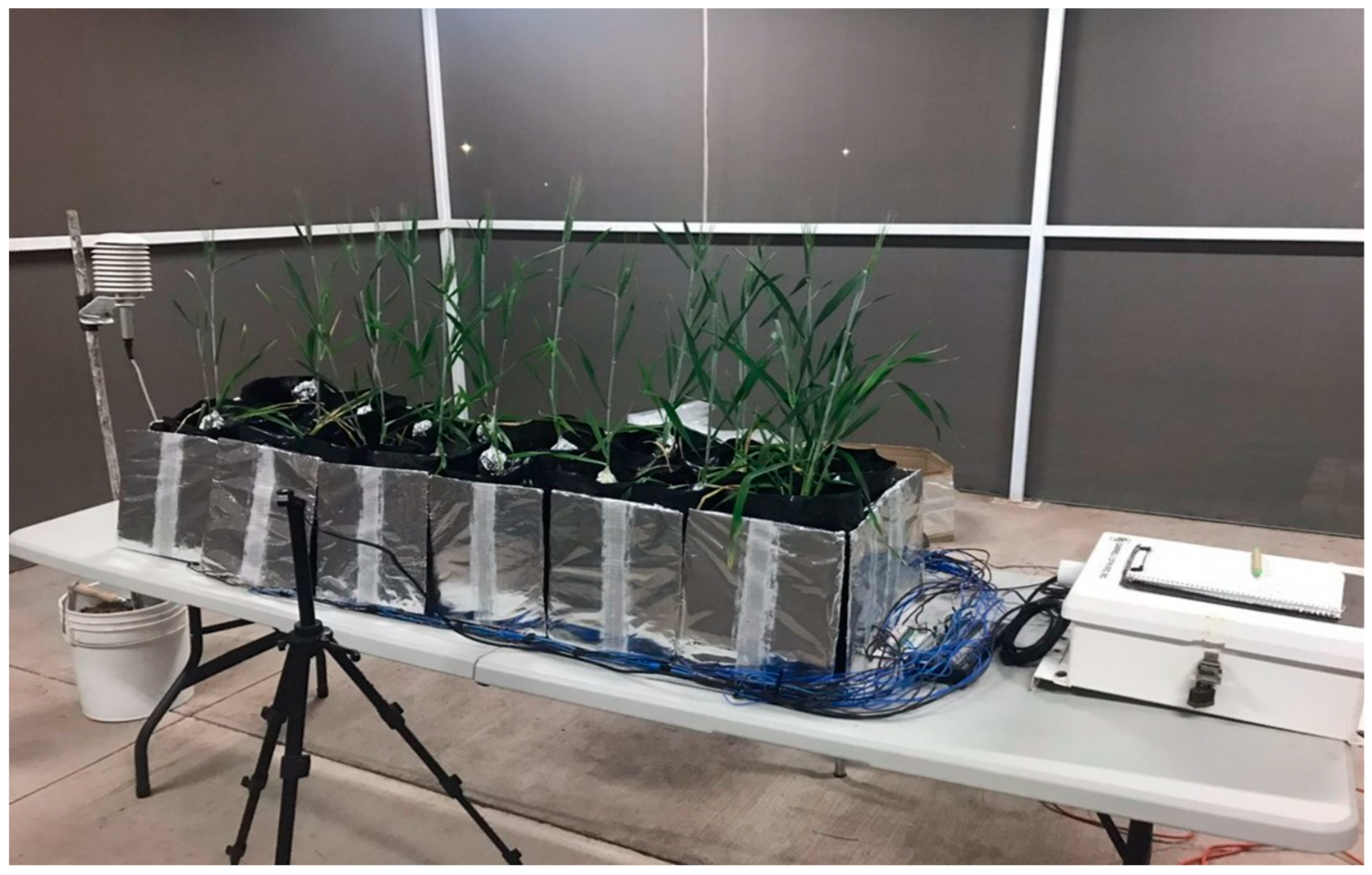 Grasses 03 00024 g004