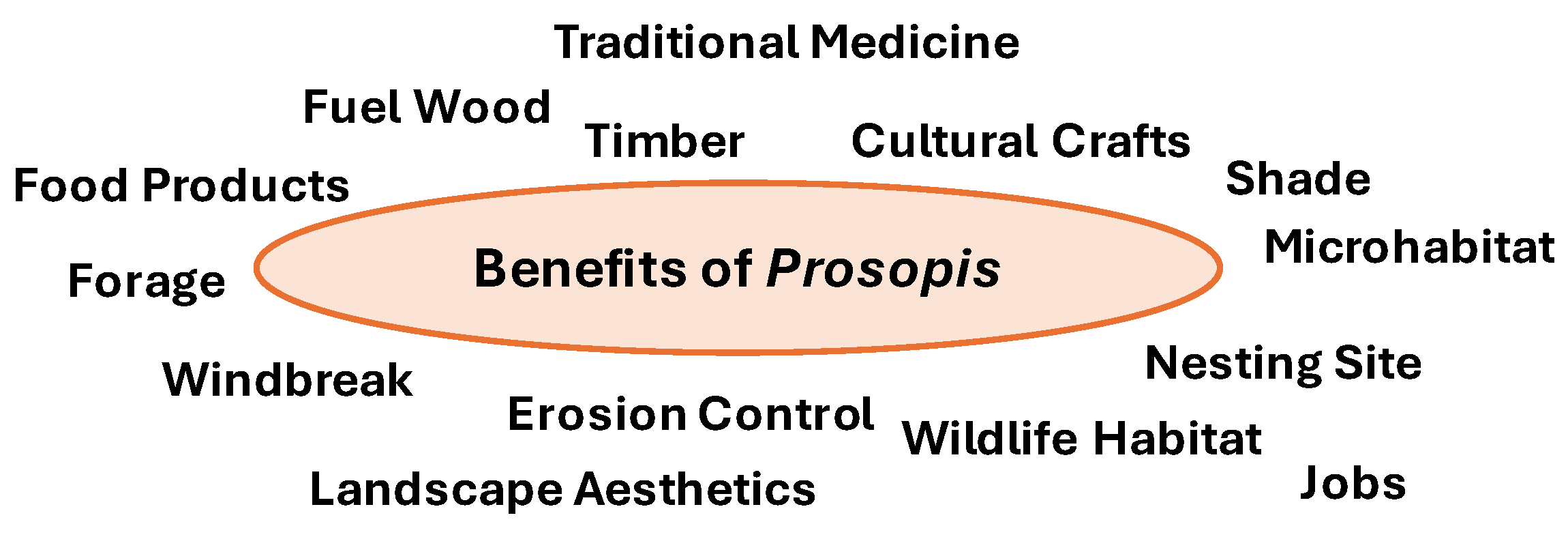 Grasses 04 00002 g005