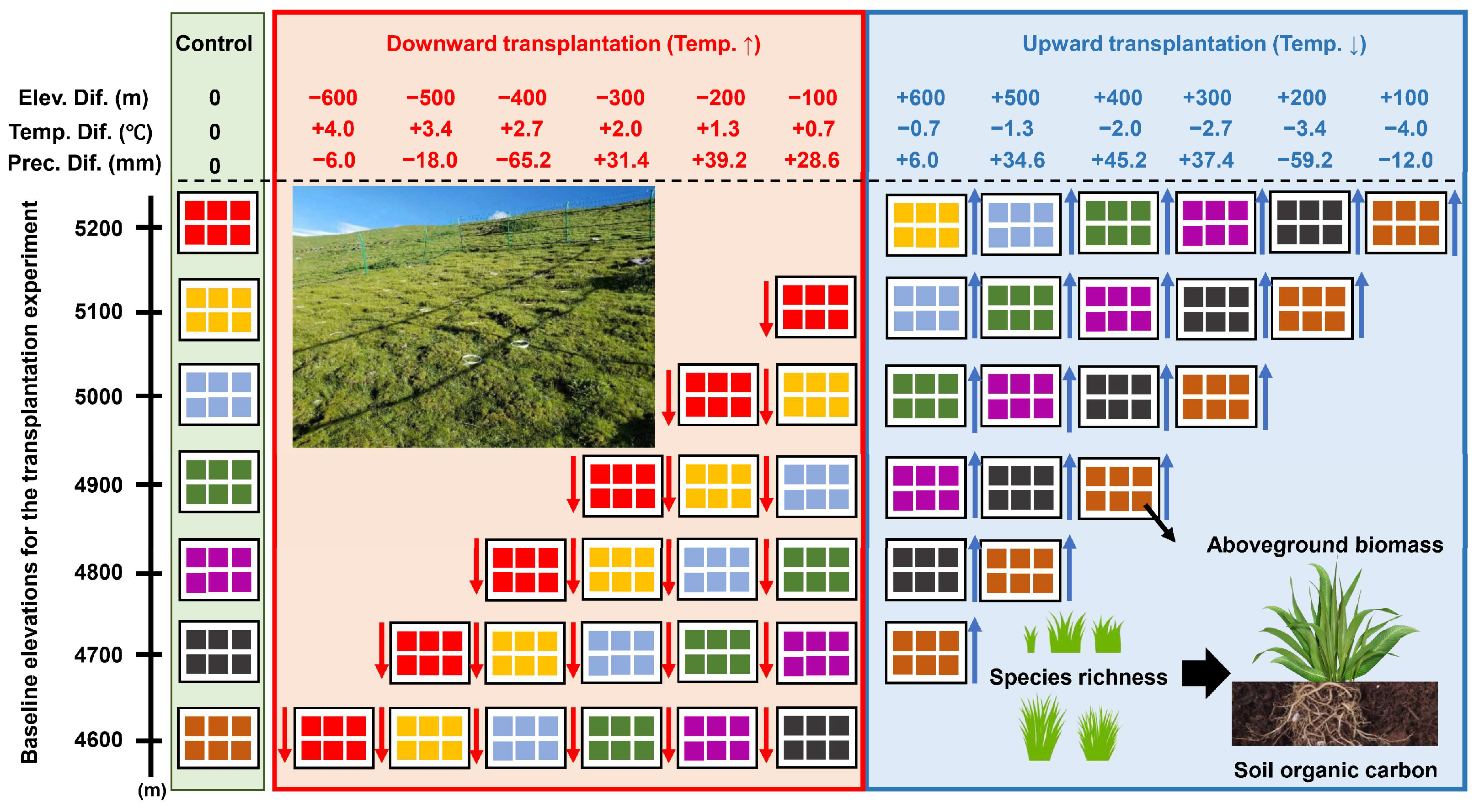 Grasses 04 00010 g001