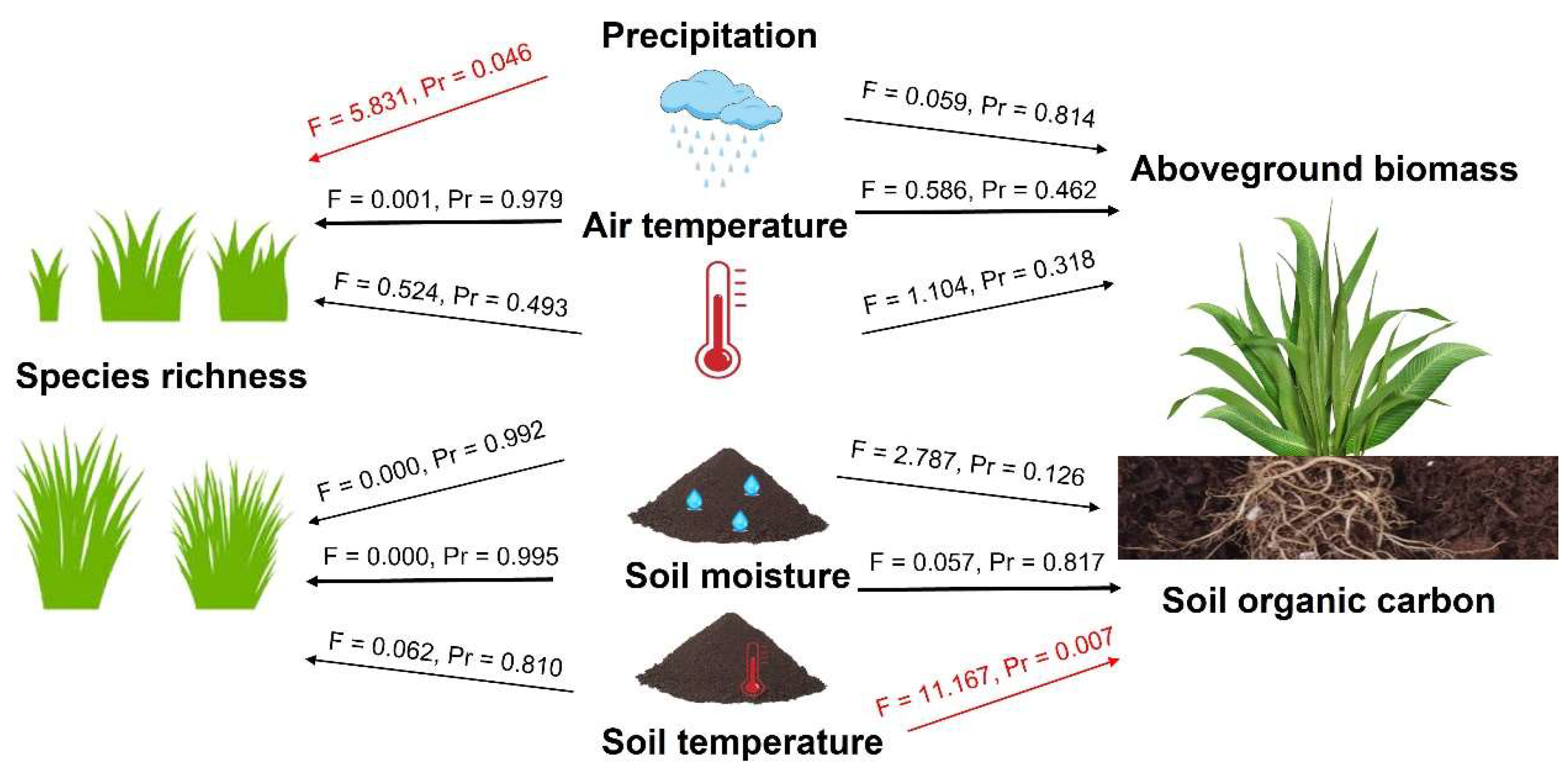 Grasses 04 00010 g005