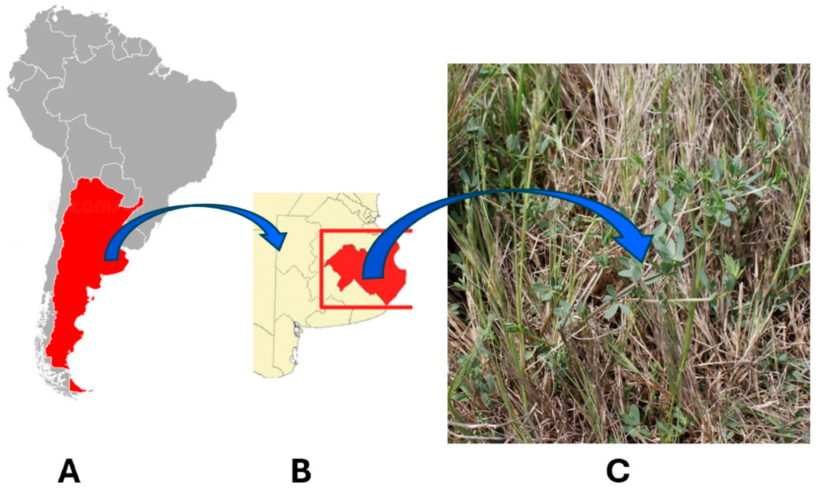 Grasses 04 00019 g001