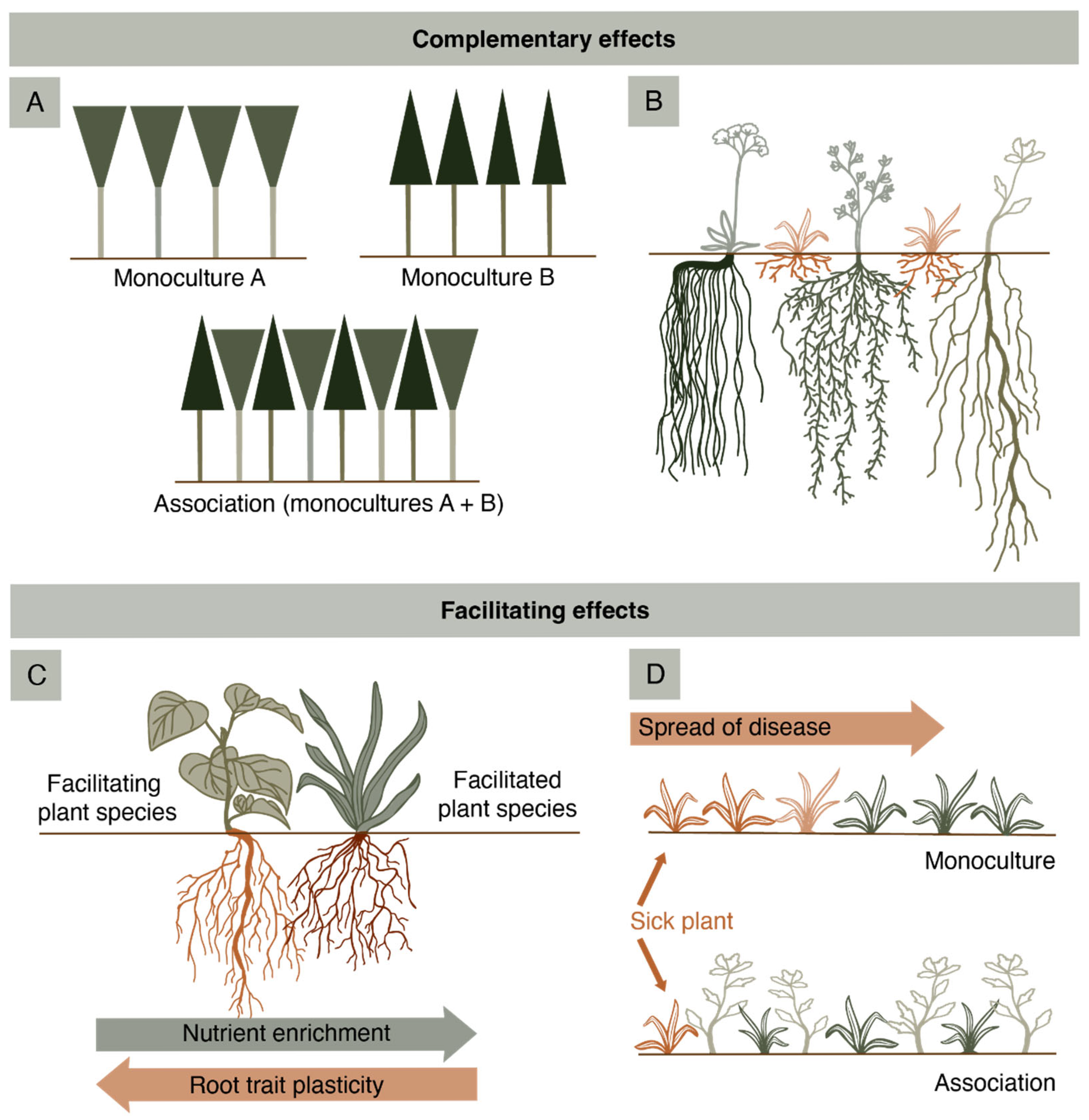 Grasses 04 00022 g001