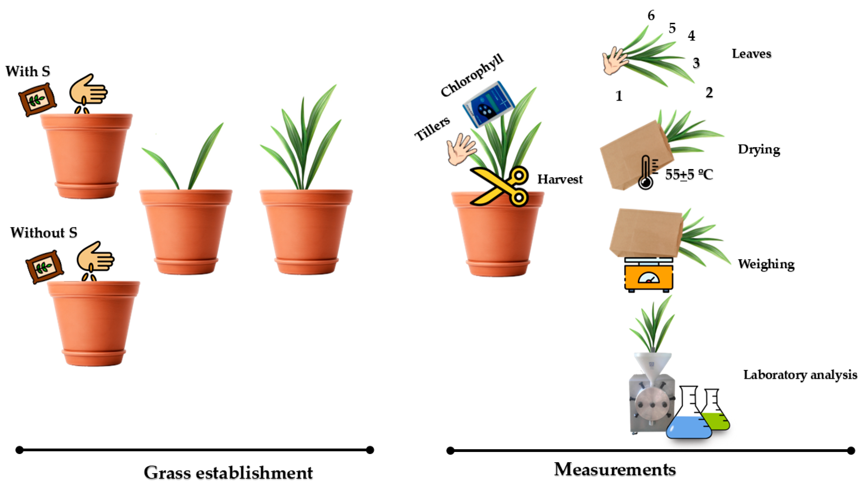 Grasses 04 00031 g001