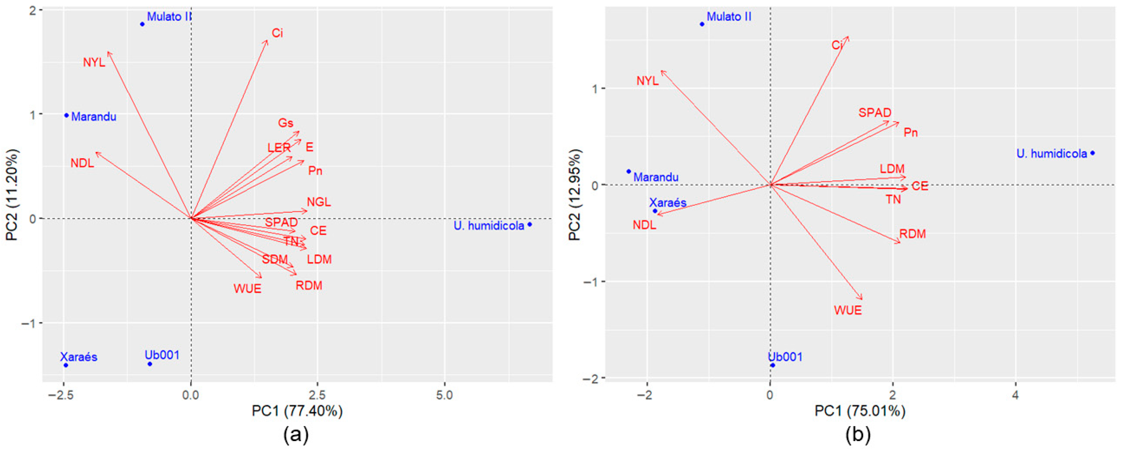 Grasses 05 00005 g005