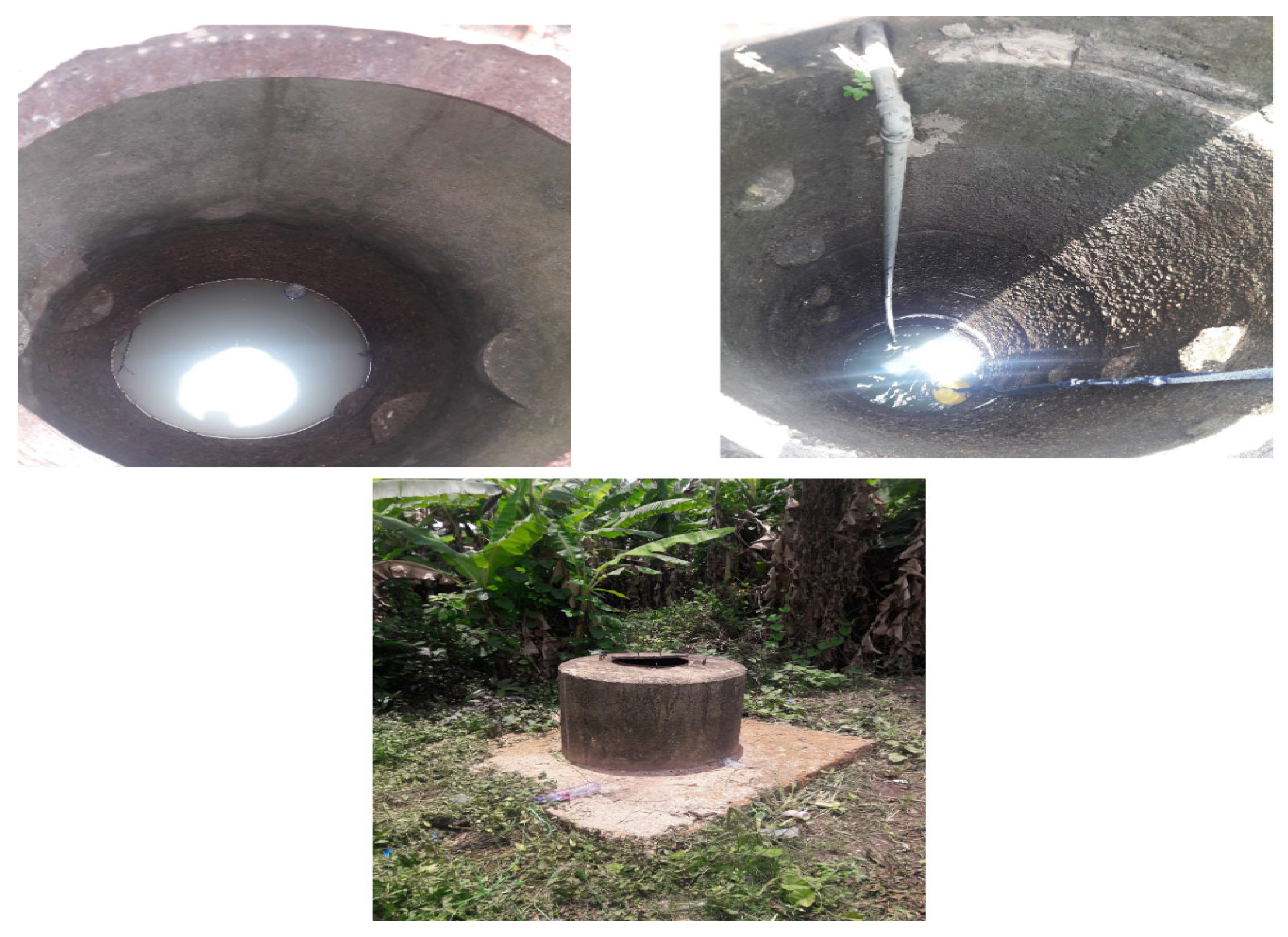 Greenhealth 01 00008 g003